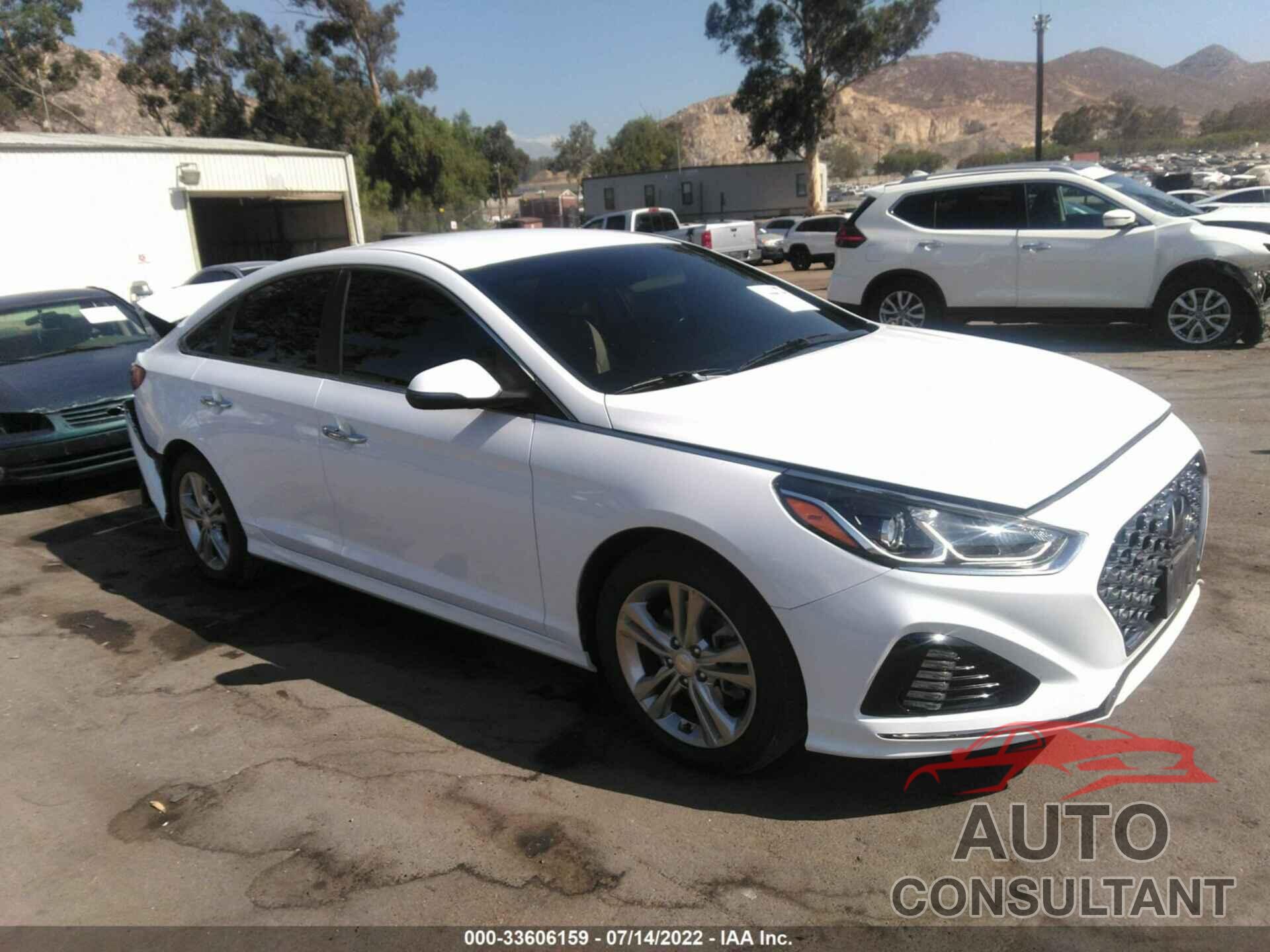 HYUNDAI SONATA 2019 - 5NPE34AF9KH746850