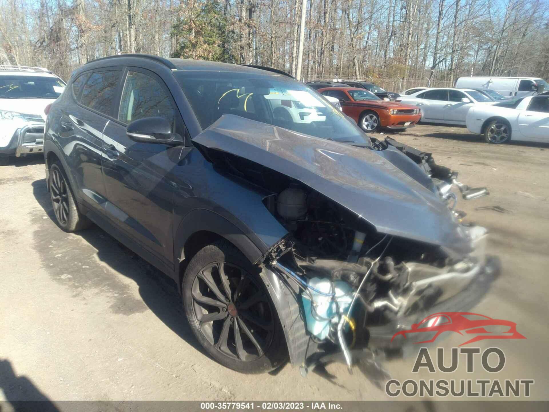 HYUNDAI TUCSON 2017 - KM8J33A26HU486262