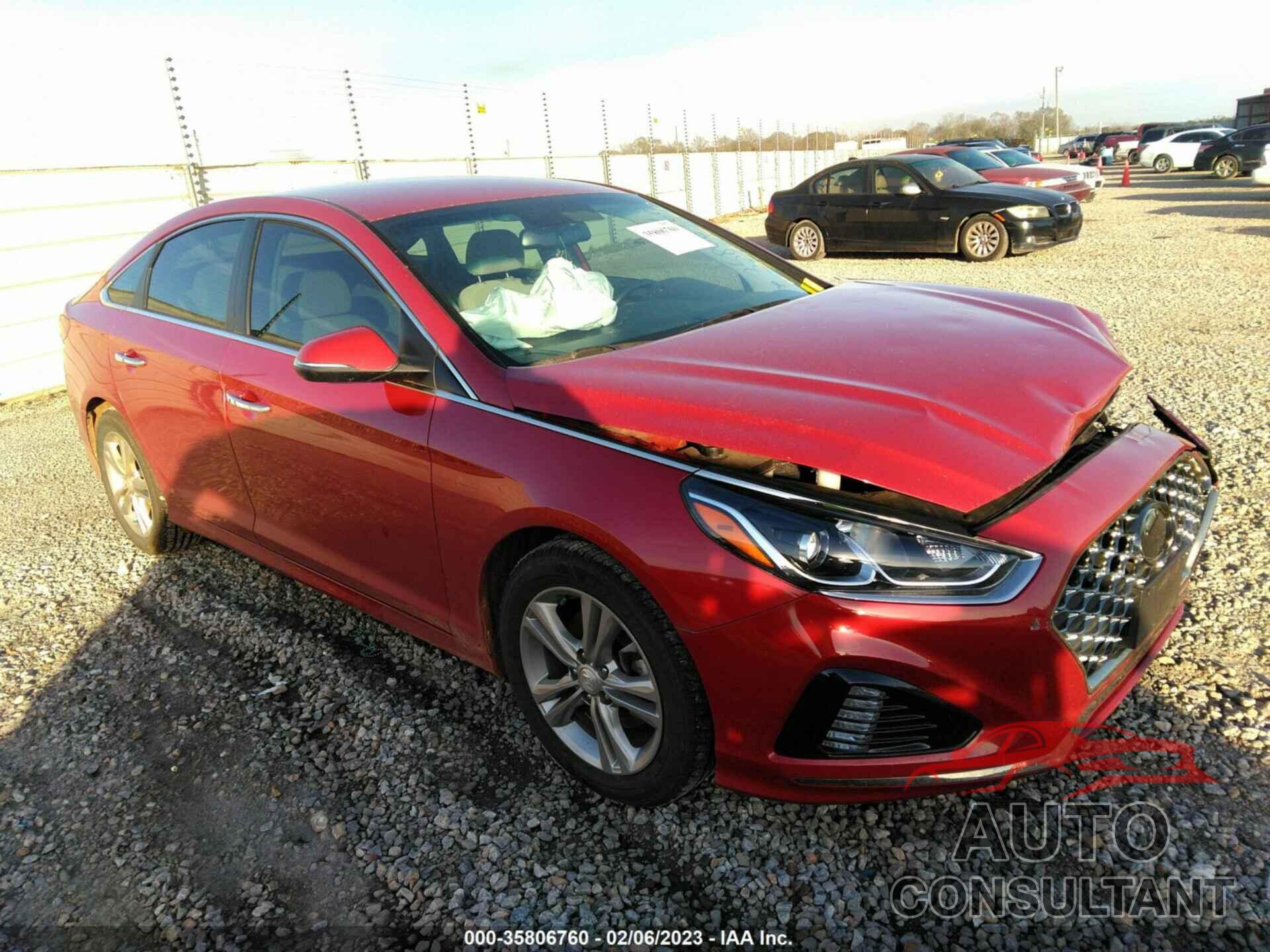 HYUNDAI SONATA 2019 - 5NPE34AF2KH787188