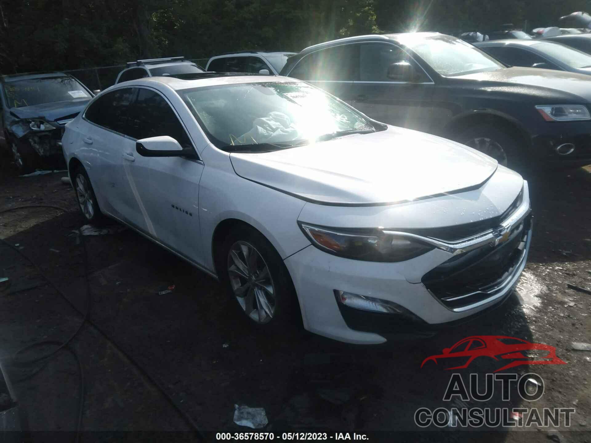 CHEVROLET MALIBU 2019 - 1G1ZD5ST8KF106835