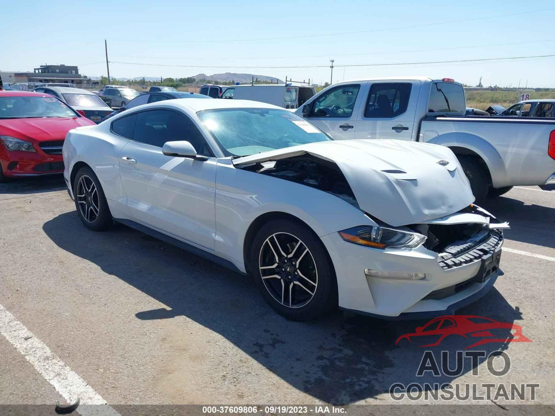 FORD MUSTANG 2019 - 1FA6P8THXK5123077