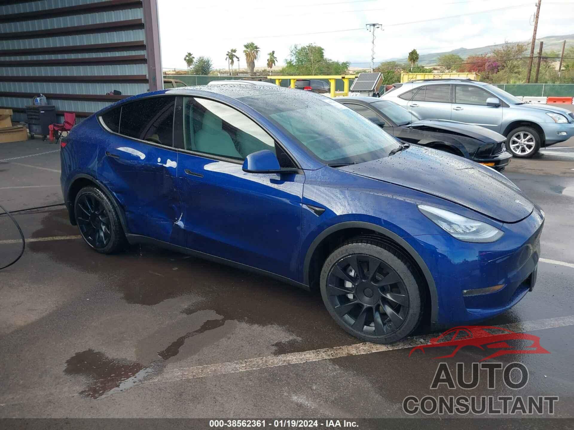 TESLA MODEL Y 2021 - 5YJYGDEDXMF124687