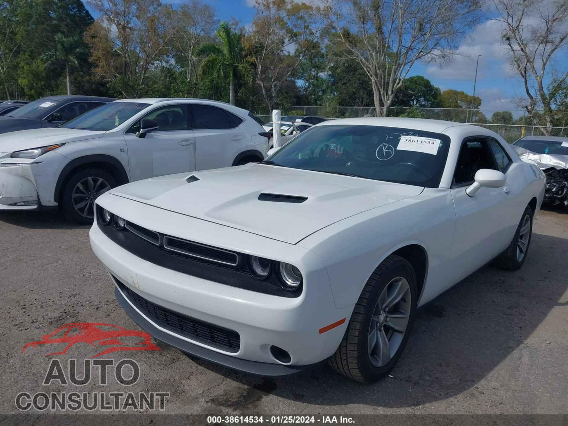 DODGE CHALLENGER 2019 - 2C3CDZAG4KH701032