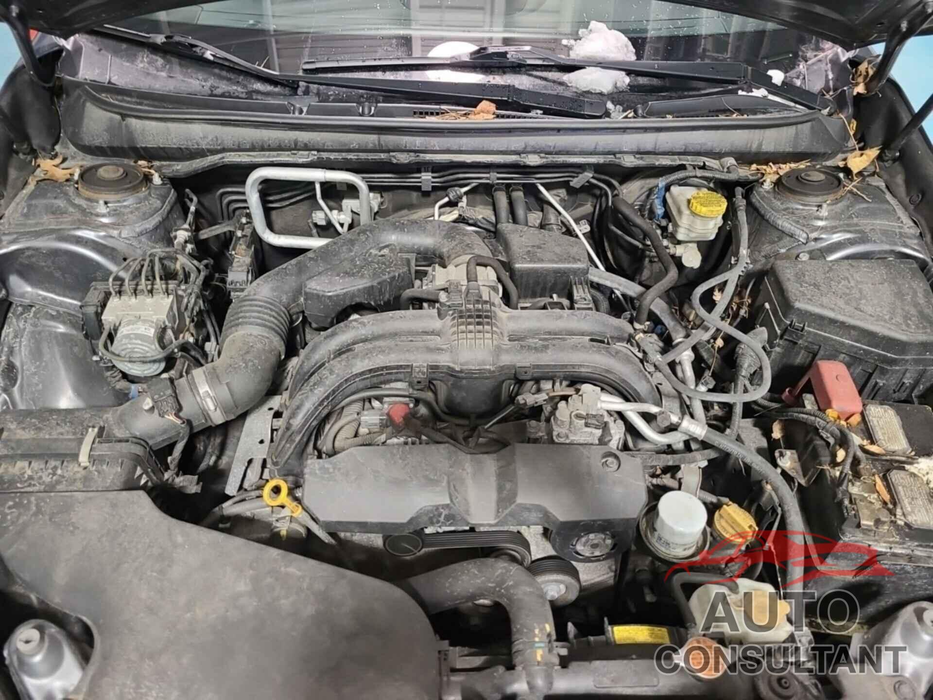 SUBARU OUTBACK 2019 - 4S4BSAFC4K3311552