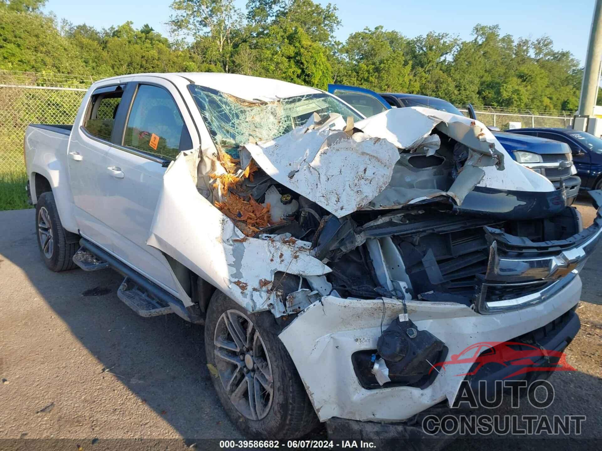 CHEVROLET COLORADO 2019 - 1GCGSCEN5K1277352