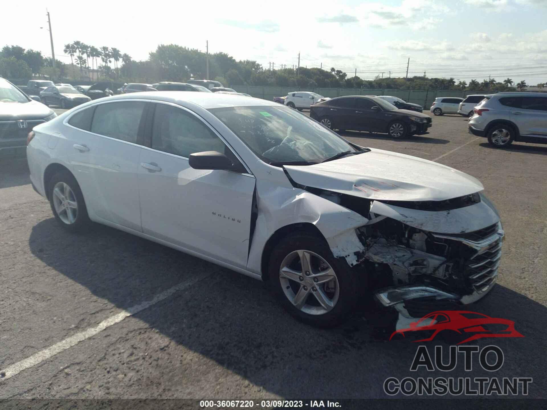 CHEVROLET MALIBU 2022 - 1G1ZB5ST4NF203881
