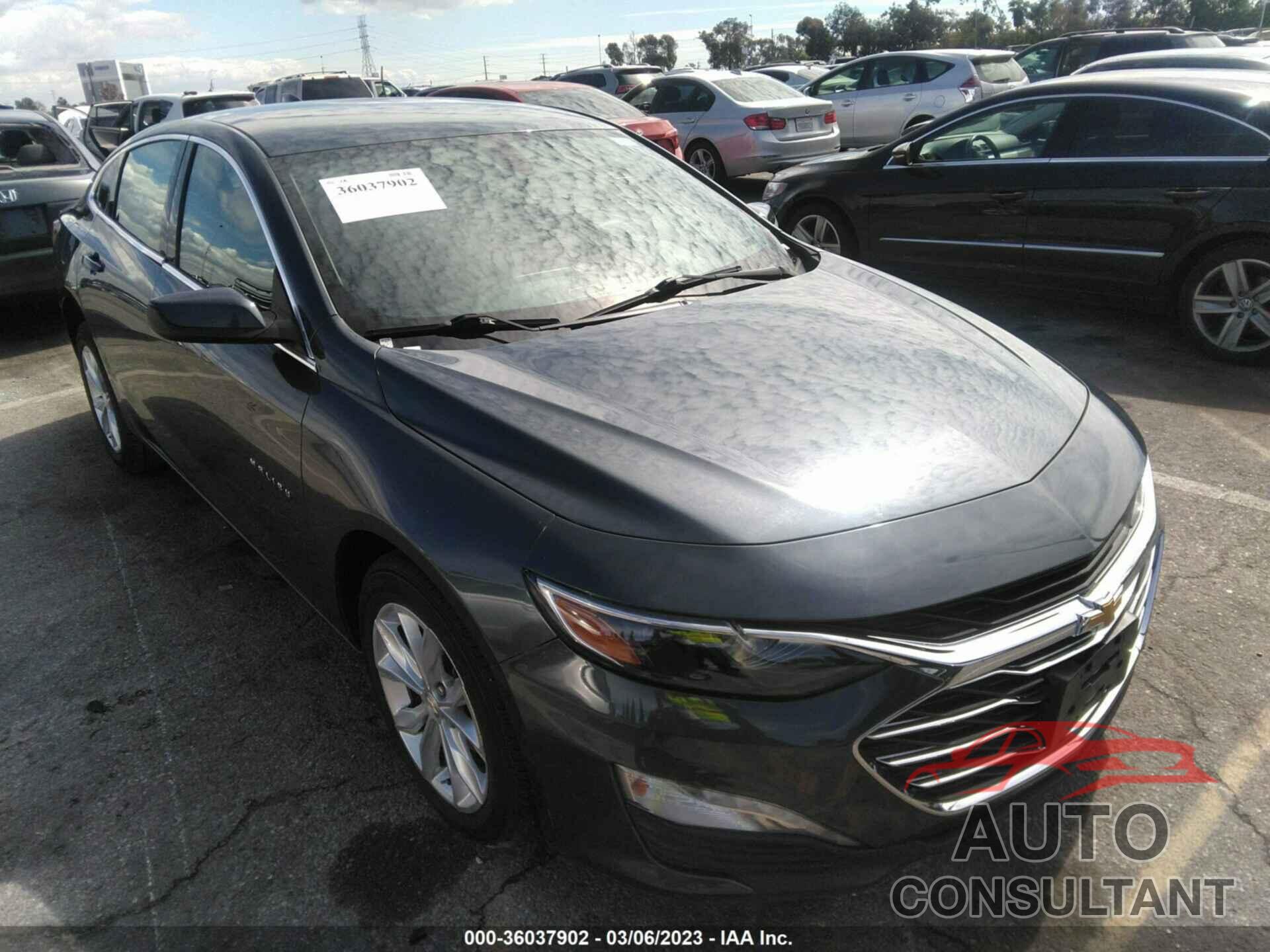 CHEVROLET MALIBU 2019 - 1G1ZD5ST4KF227183