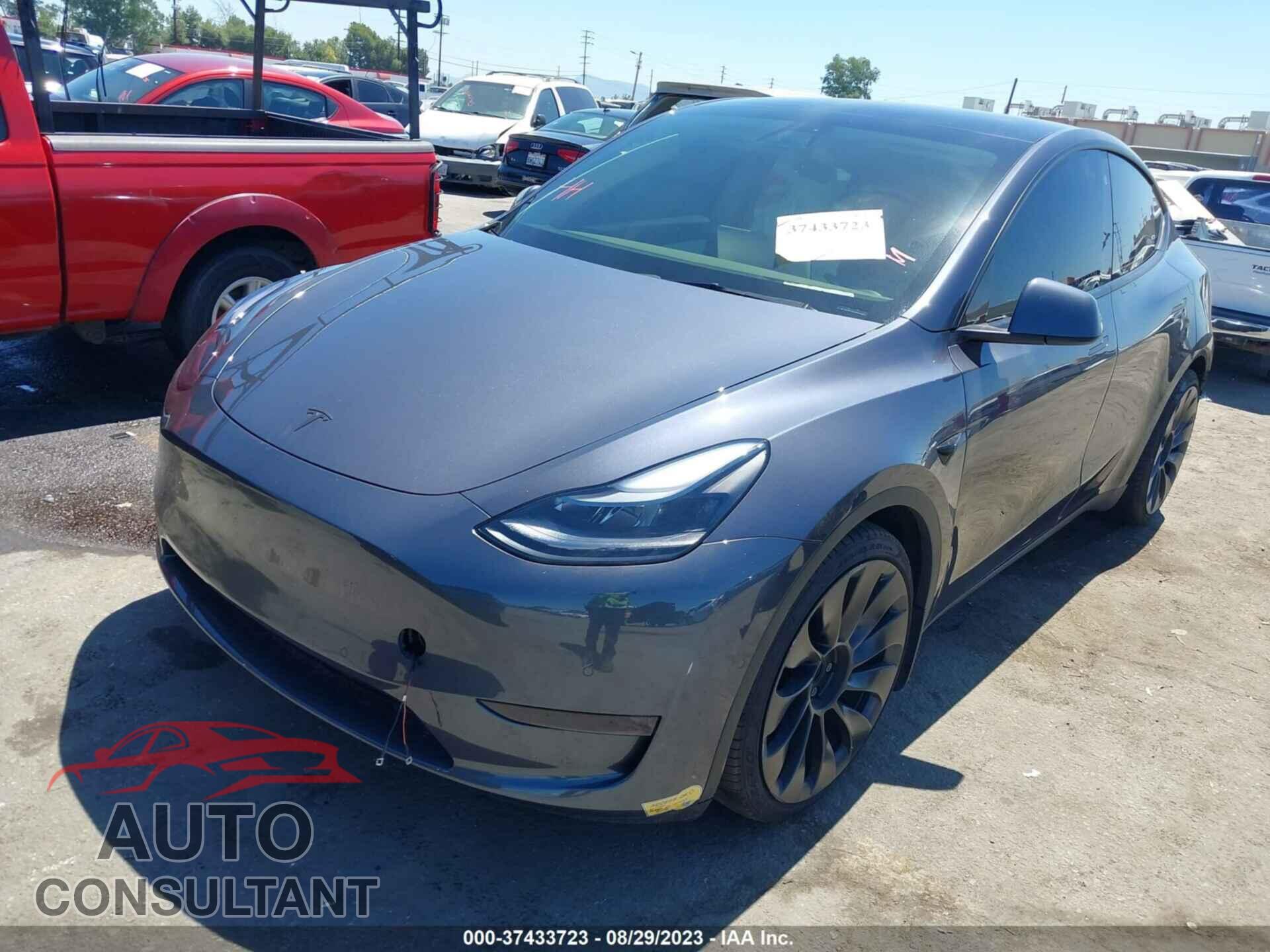TESLA MODEL Y 2022 - 7SAYGDEF3NF439868
