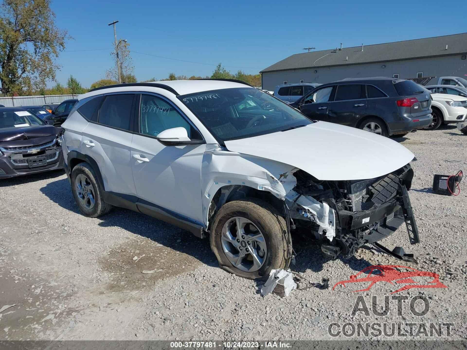 HYUNDAI TUCSON 2023 - 5NMJBCAEXPH182326