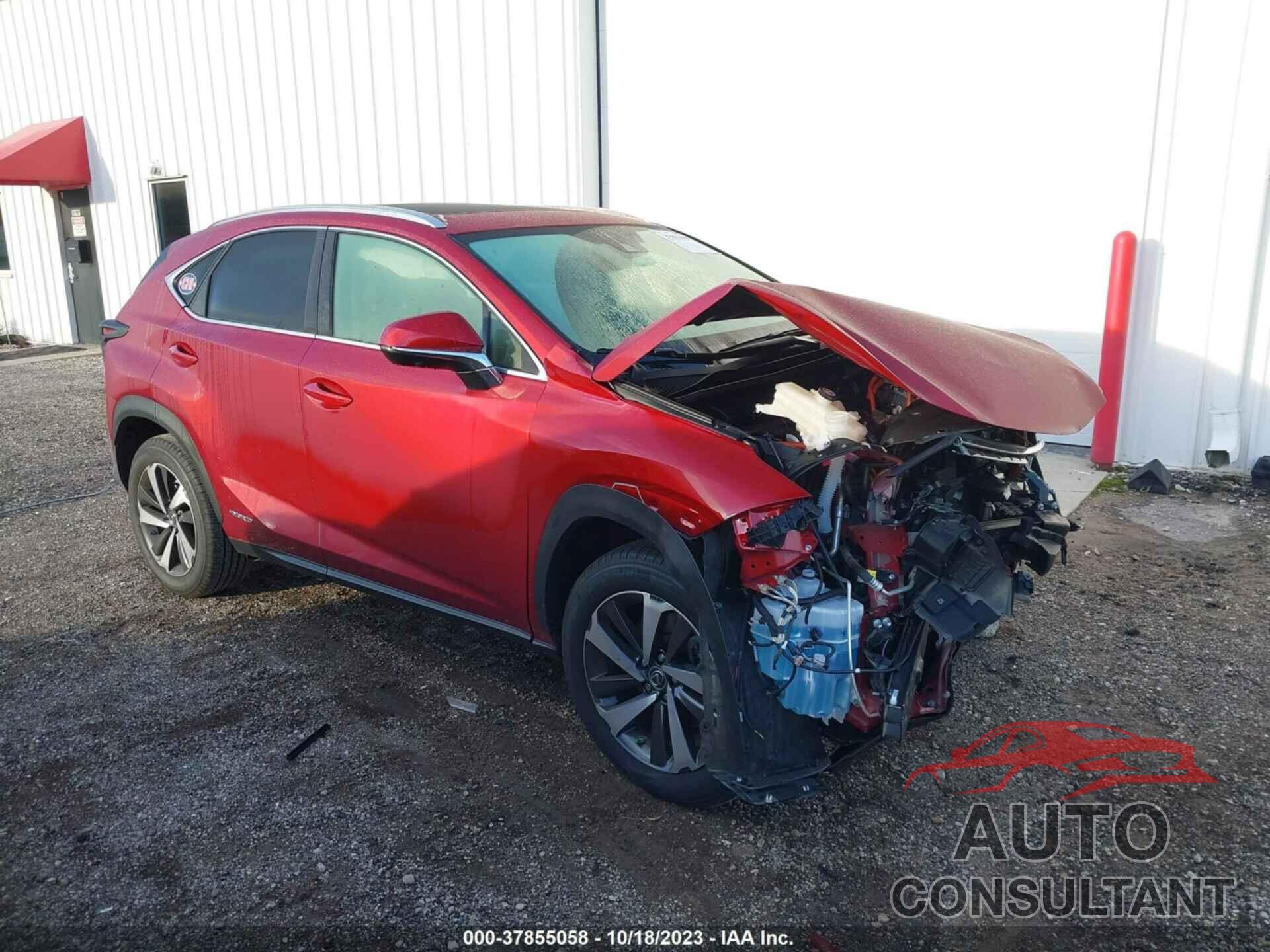 LEXUS NX 300H 2021 - JTJGJRDZ3M5013789