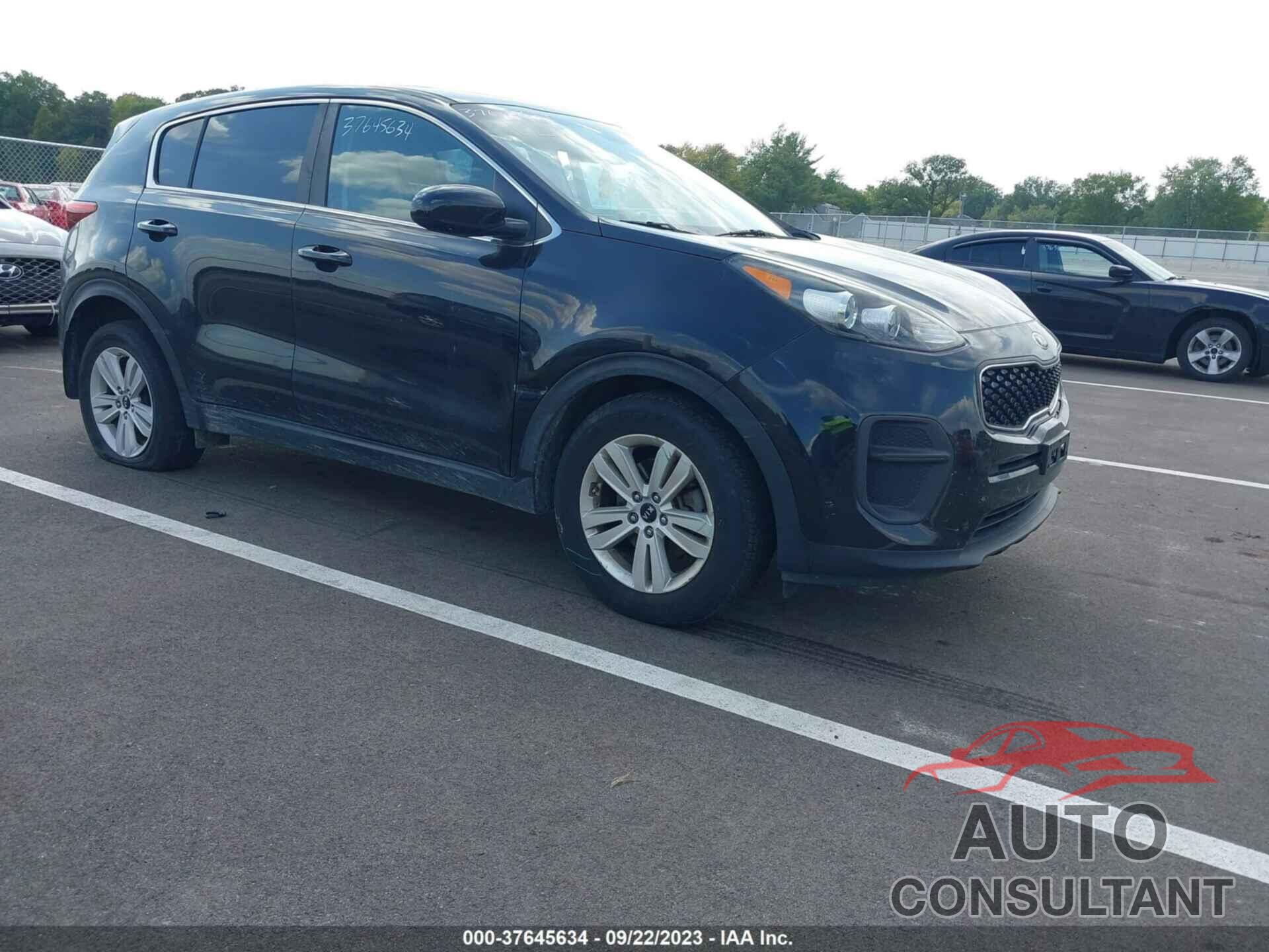 KIA SPORTAGE 2017 - KNDPM3AC2H7300512