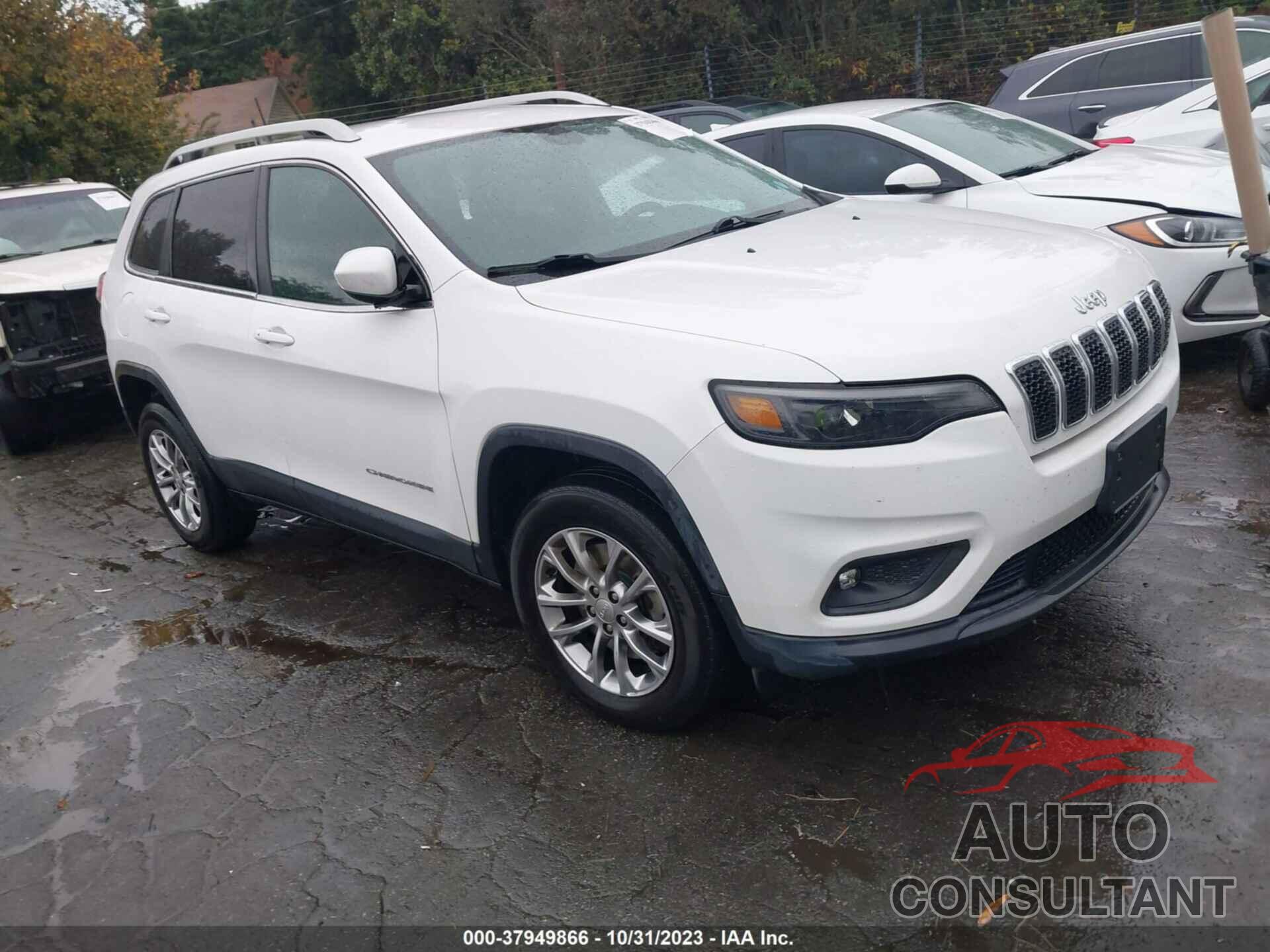 JEEP CHEROKEE 2019 - 1C4PJMLB5KD177719