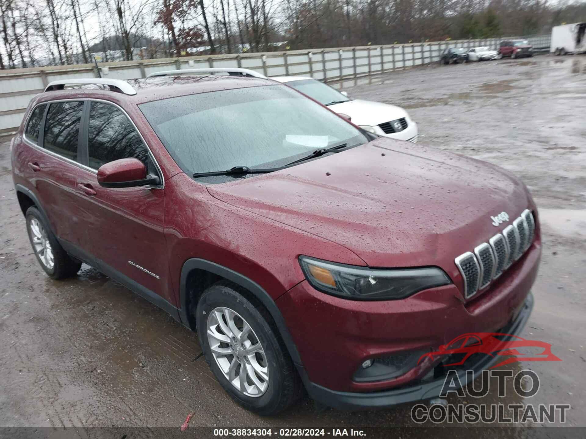 JEEP CHEROKEE 2019 - 1C4PJLCB6KD264054