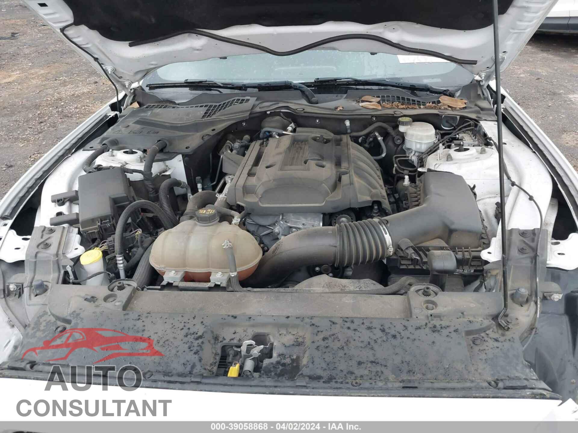 FORD MUSTANG 2017 - 1FA6P8TH1H5335357