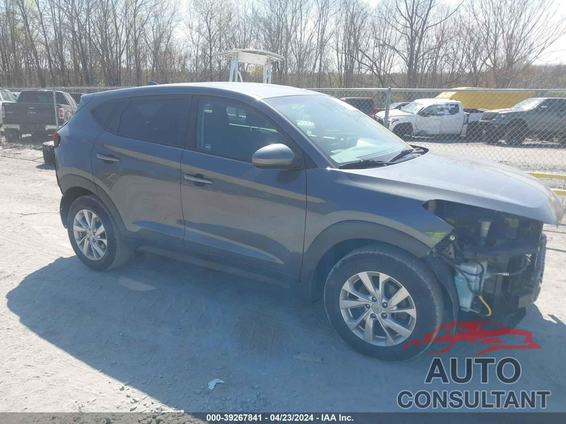 HYUNDAI TUCSON 2019 - KM8J2CA40KU053533