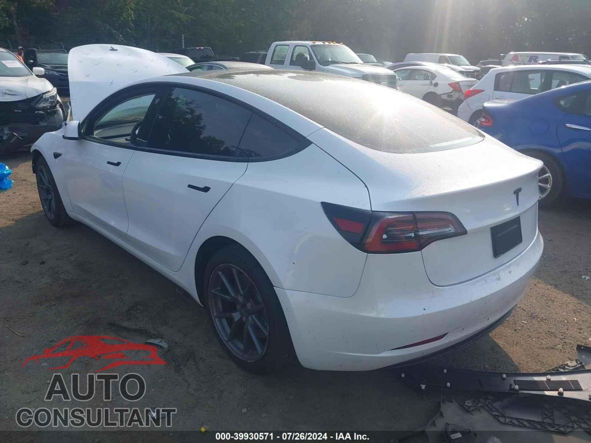 TESLA MODEL 3 2021 - 5YJ3E1EA5MF923538