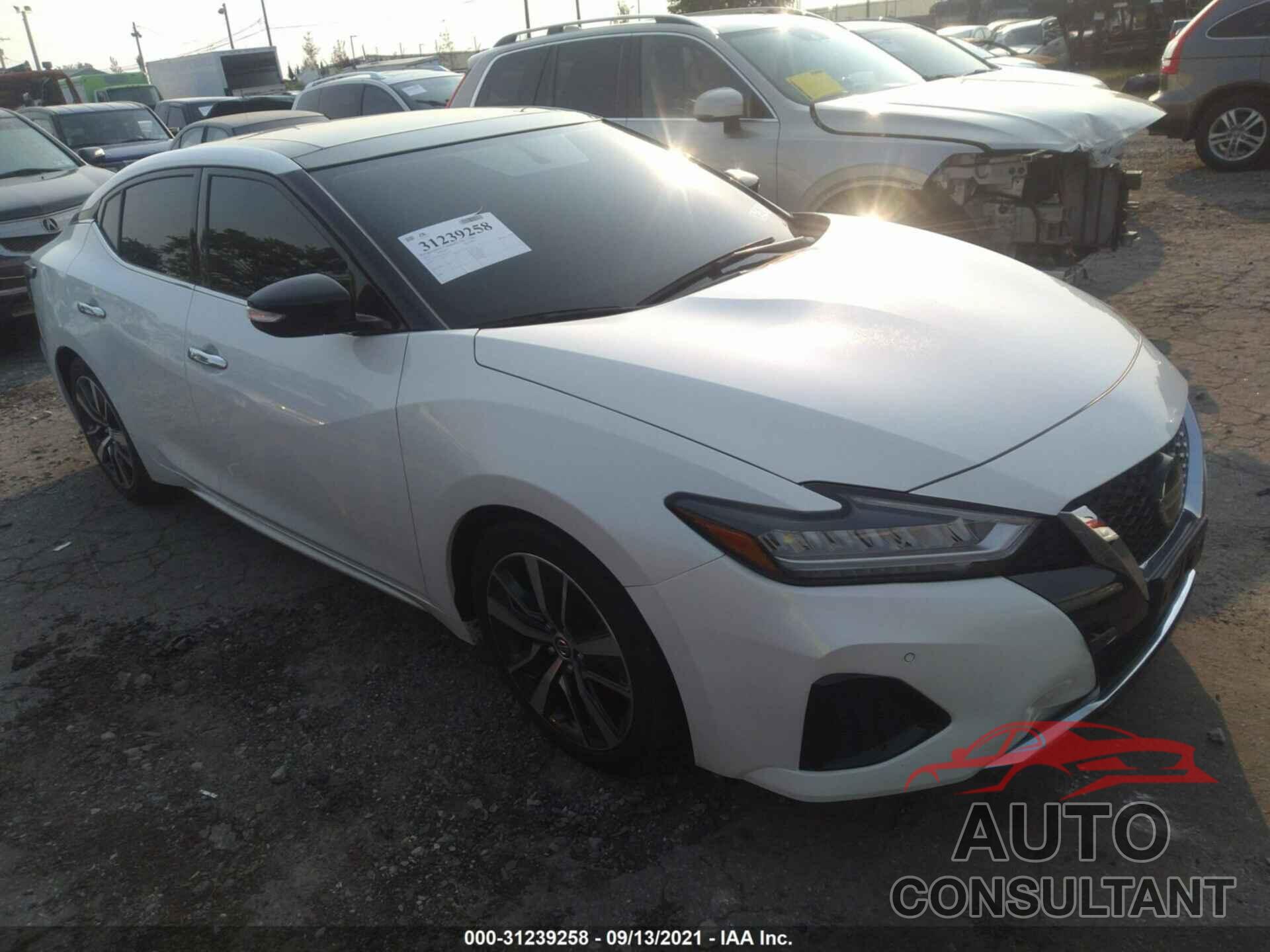 NISSAN MAXIMA 2019 - 1N4AA6AV8KC374474