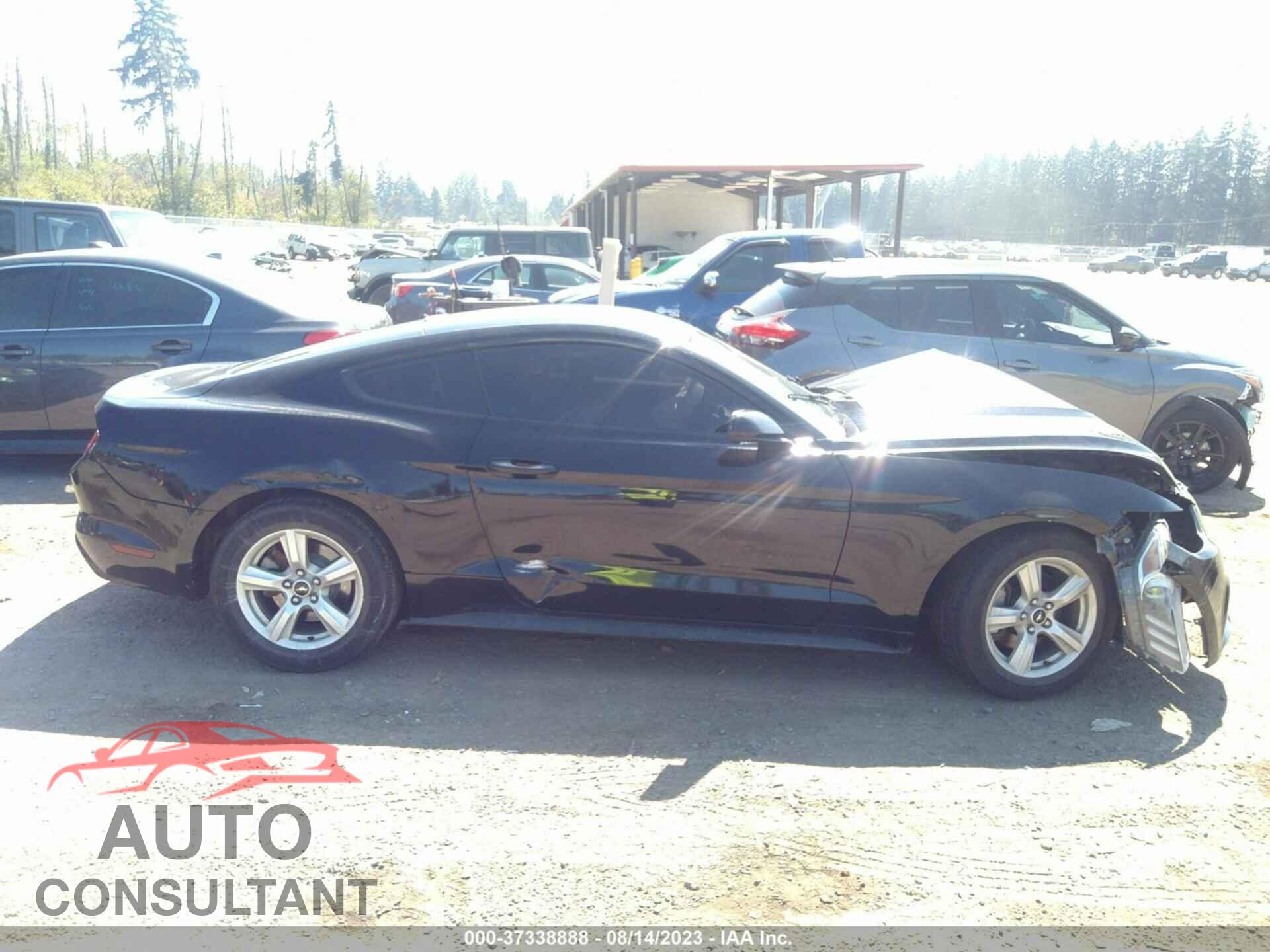 FORD MUSTANG 2017 - 1FA6P8AM1H5317005