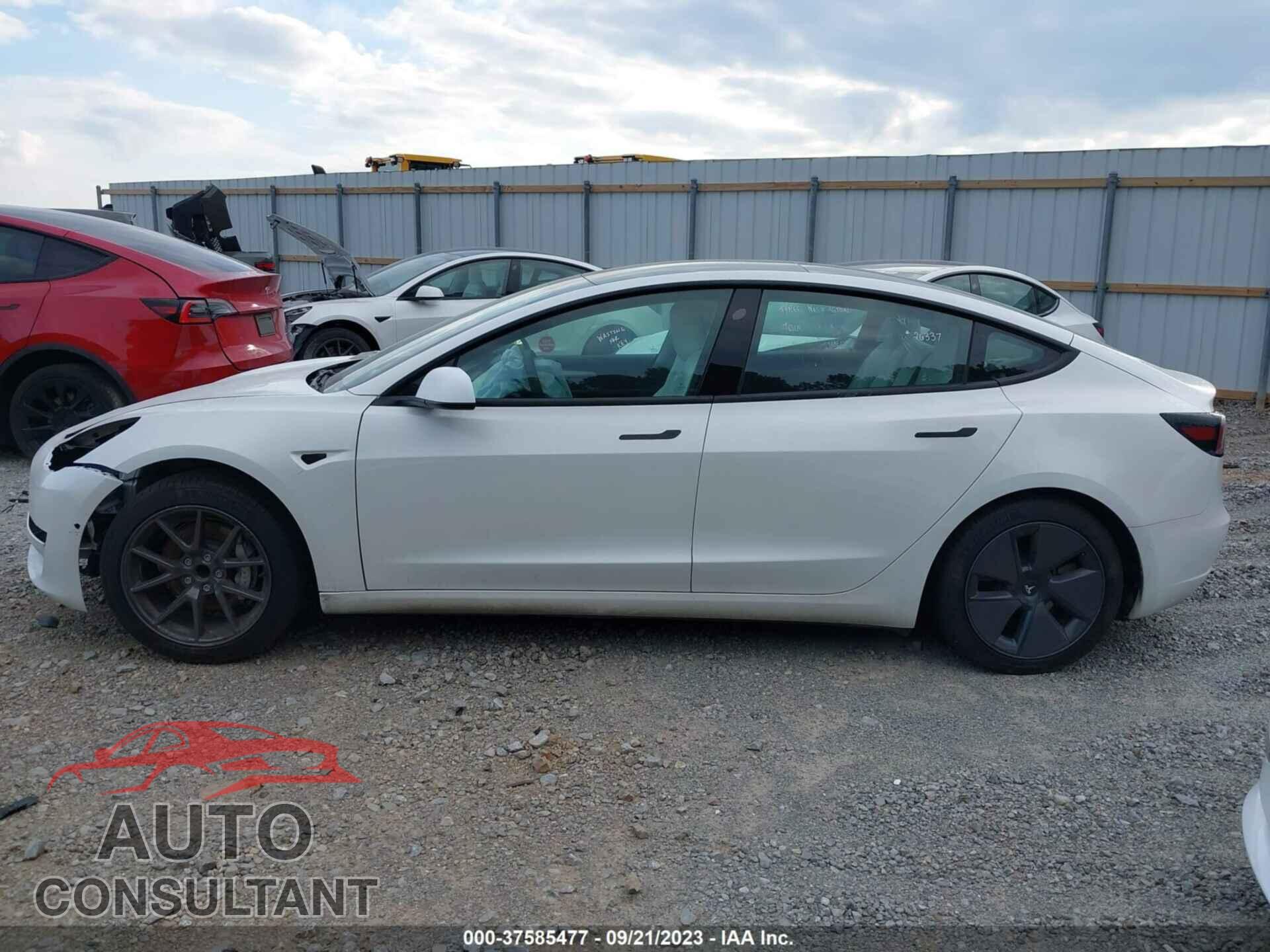 TESLA MODEL 3 2021 - 5YJ3E1EA5MF987580