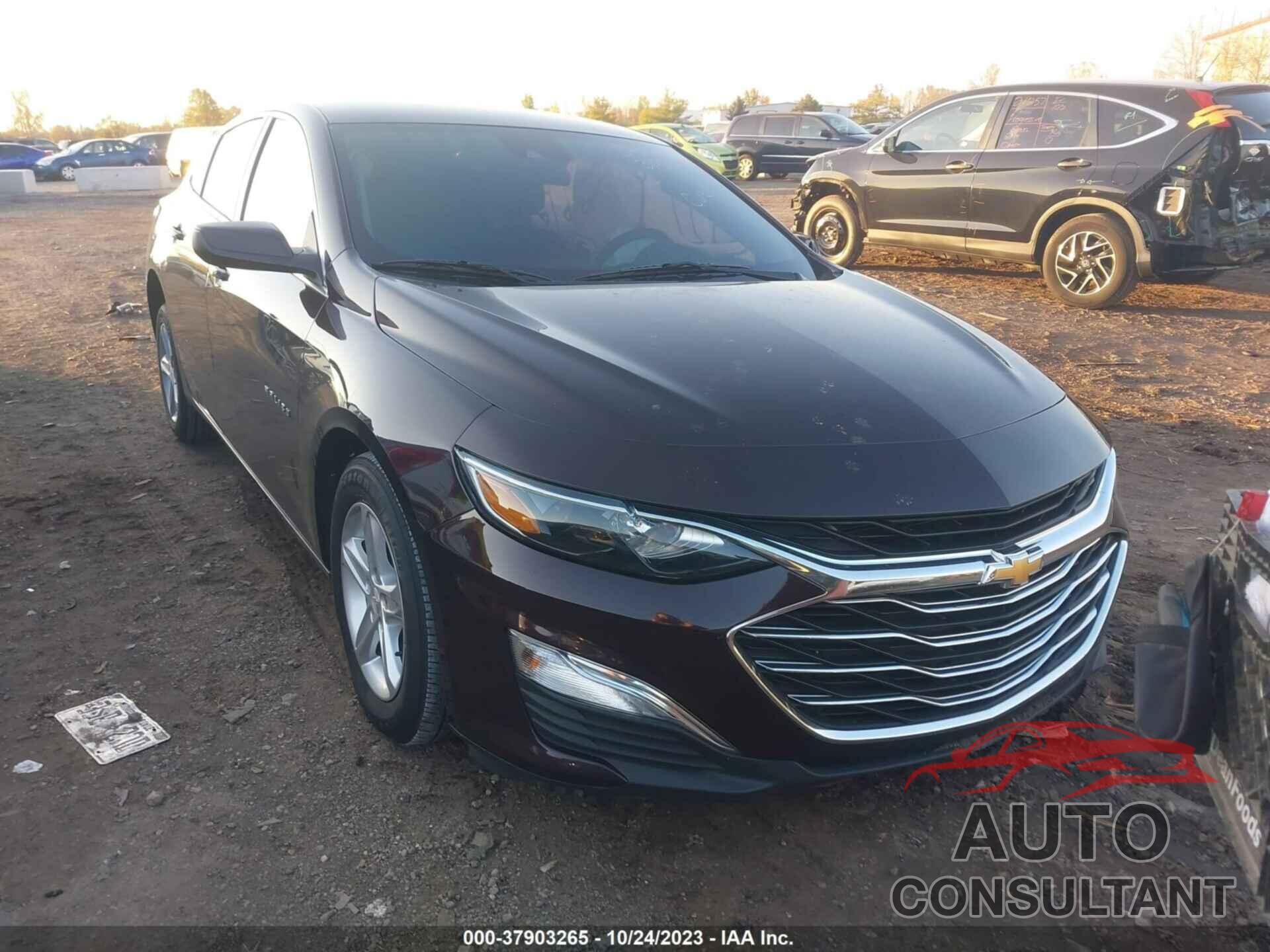 CHEVROLET MALIBU 2020 - 1G1ZC5ST9LF104936