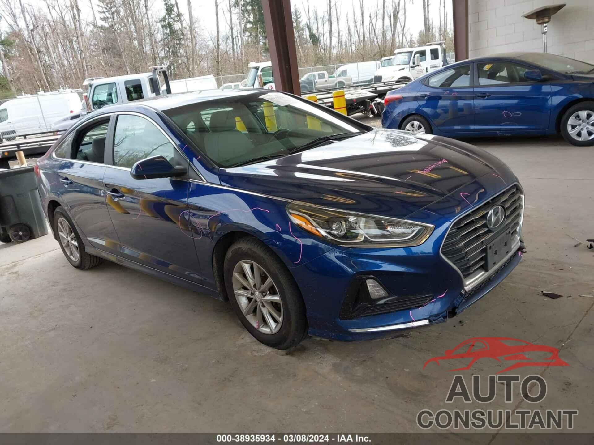 HYUNDAI SONATA 2019 - 5NPE24AFXKH754359
