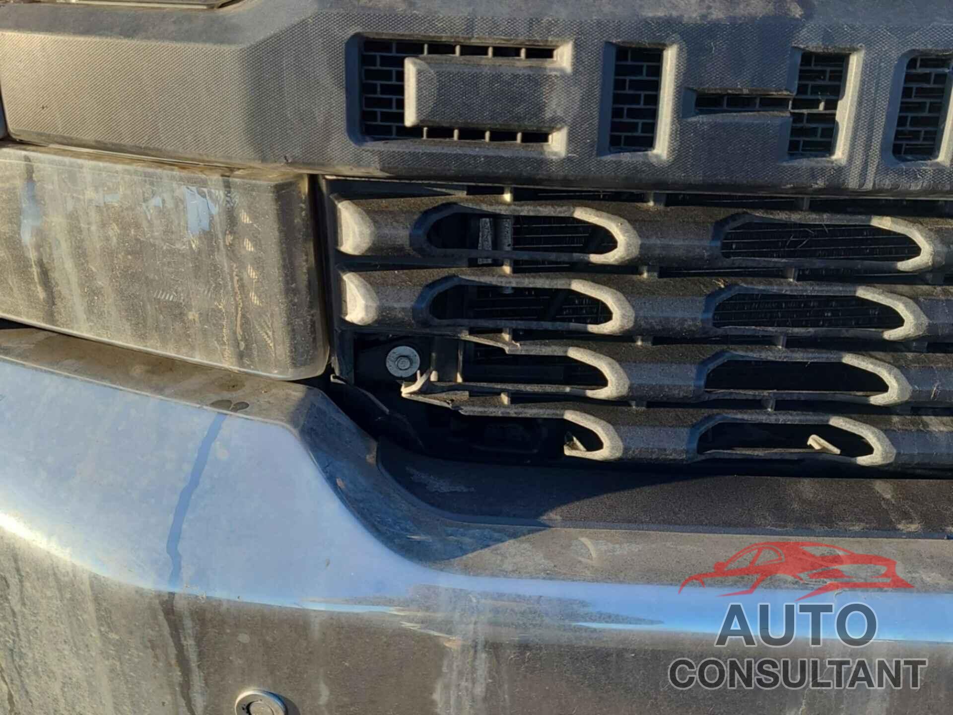 CHEVROLET SILVERADO 1500 2020 - 1GCRYAEH0LZ300772