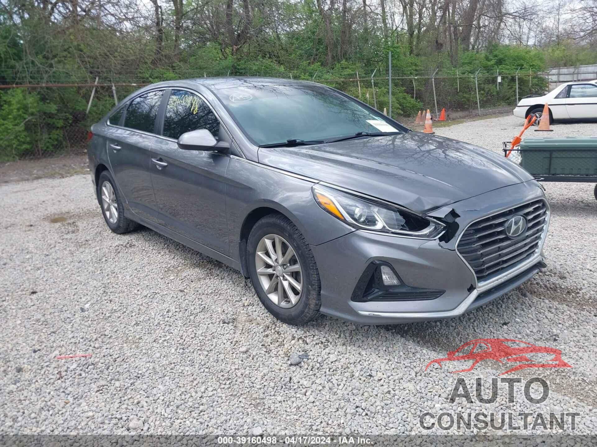 HYUNDAI SONATA 2019 - 5NPE24AF4KH803460