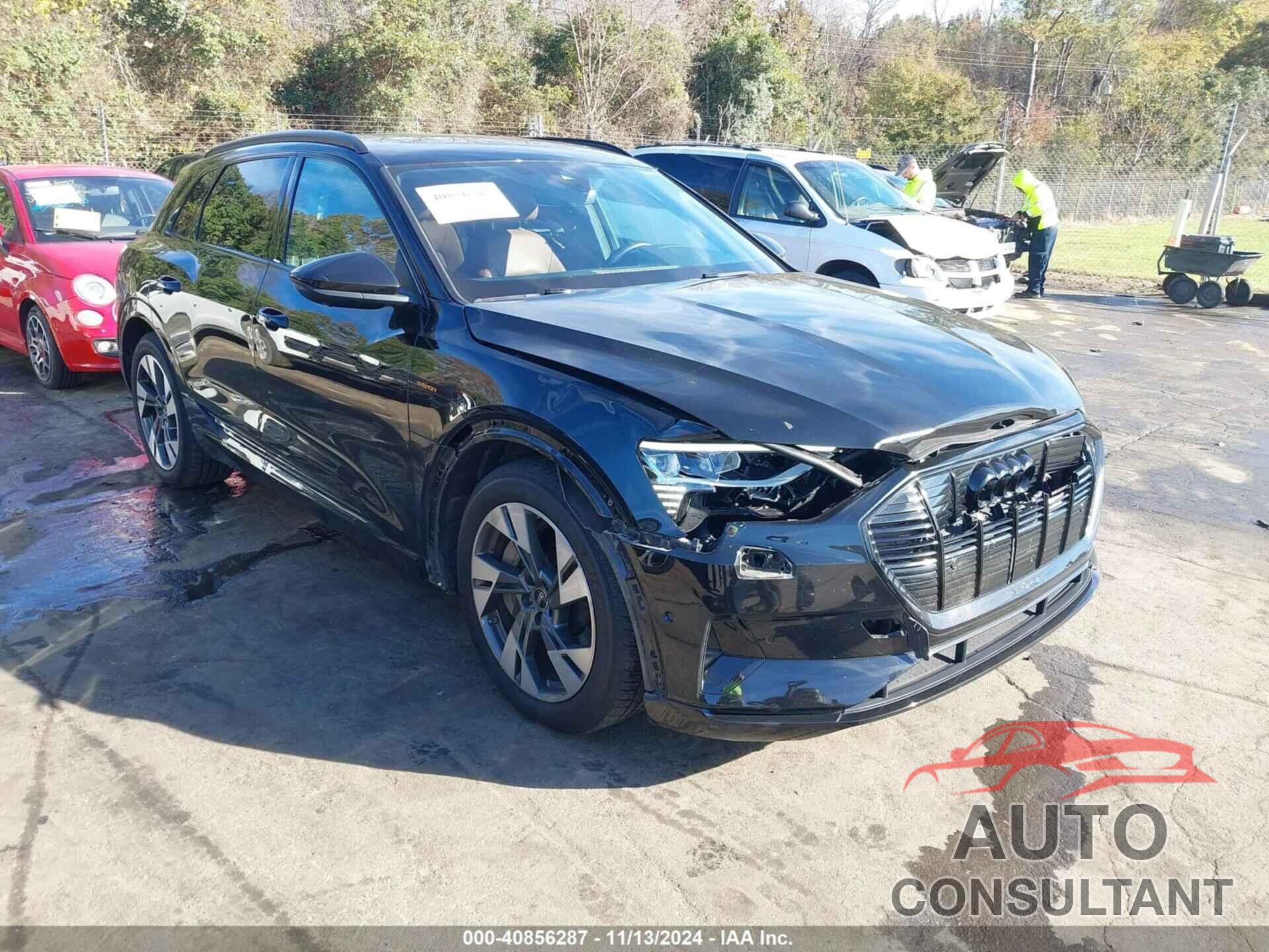 AUDI E-TRON 2022 - WA1AAAGE6NB029002