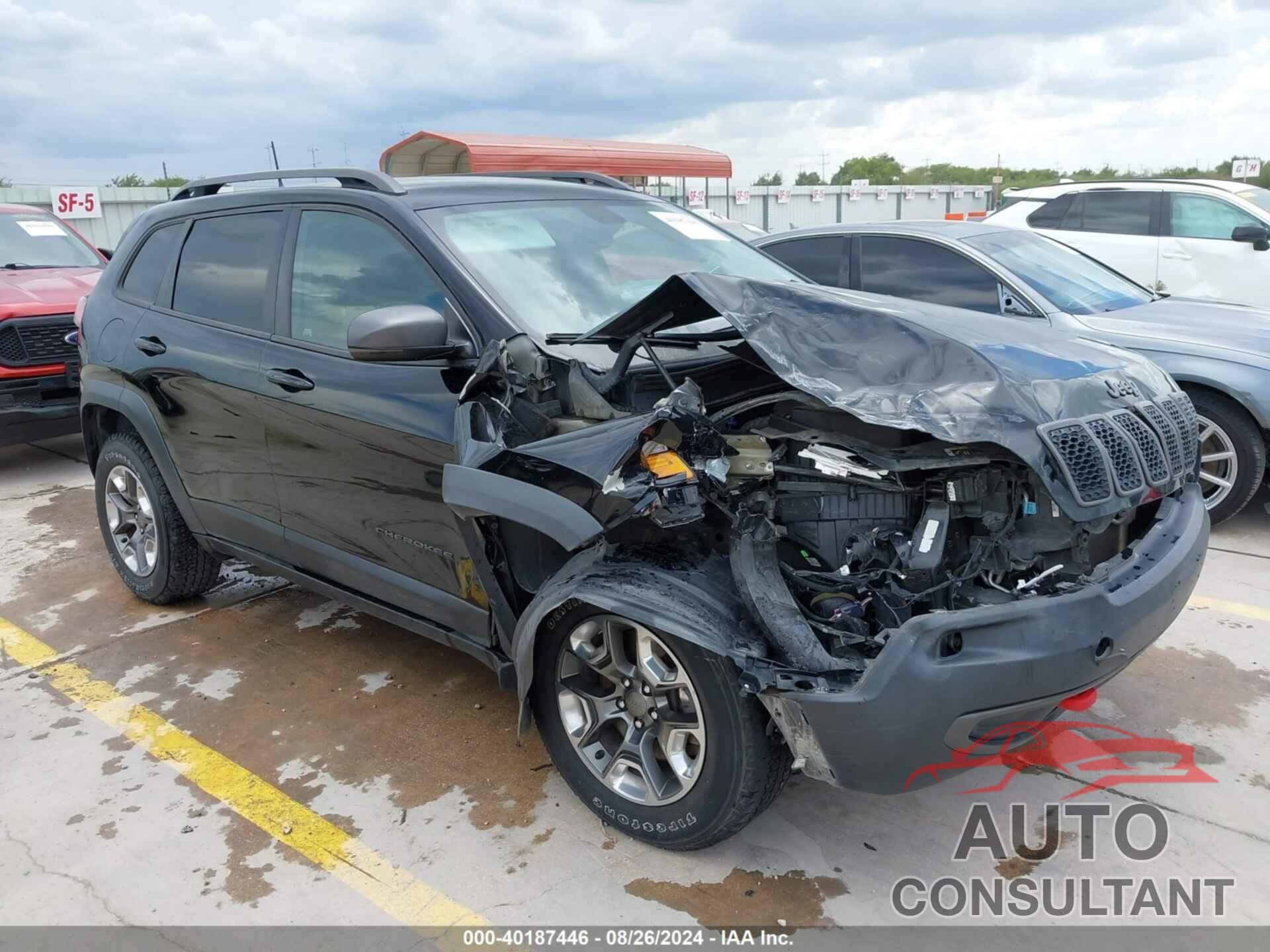 JEEP CHEROKEE 2019 - 1C4PJMBX2KD225013