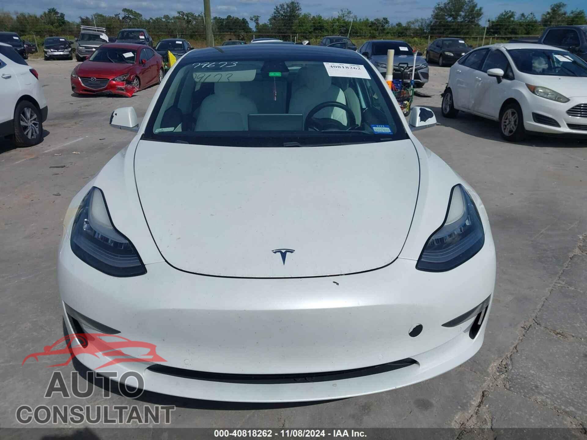 TESLA MODEL 3 2020 - 5YJ3E1EA3LF509611