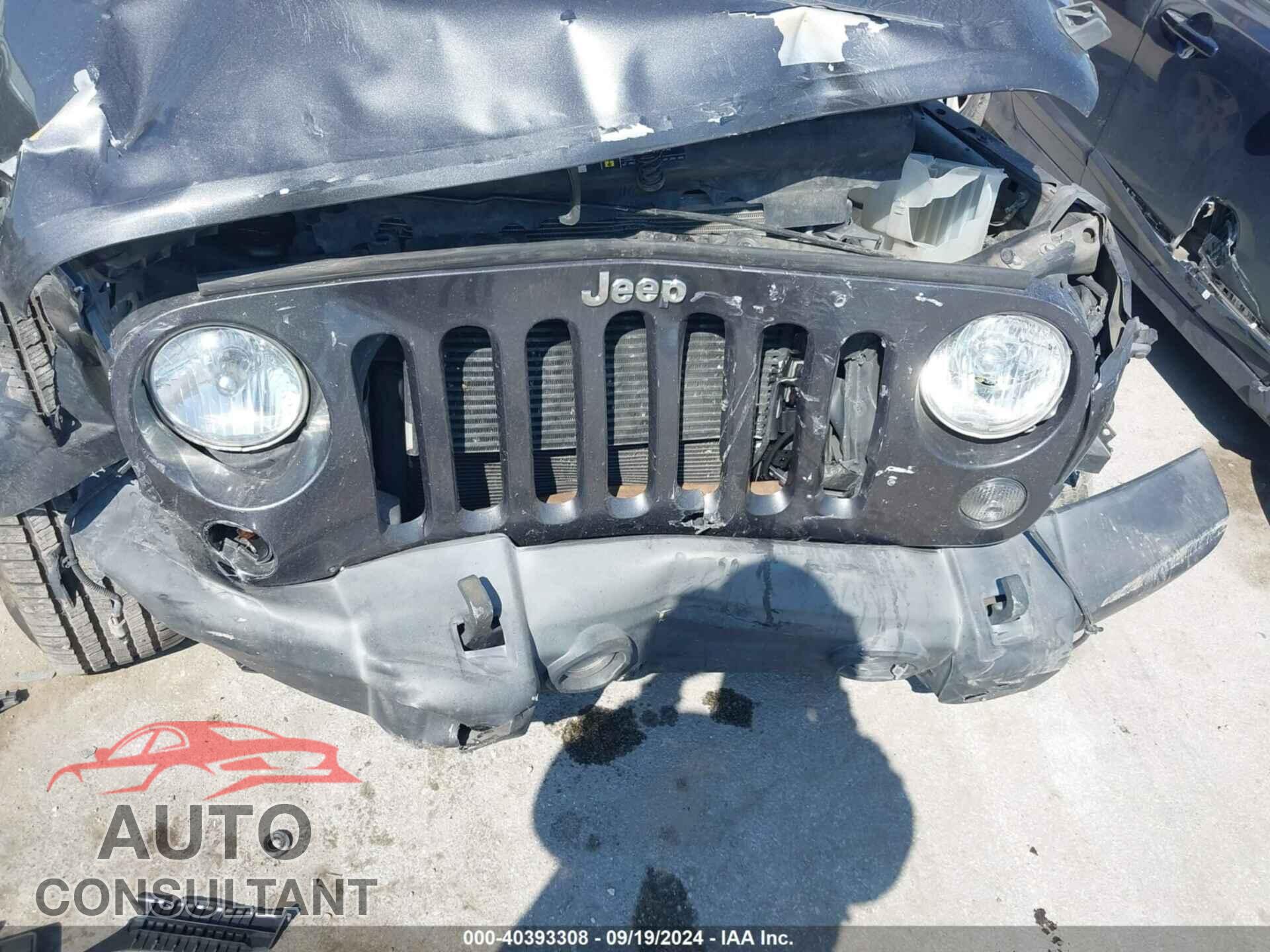 JEEP WRANGLER 2017 - 1C4AJWAG2HL516046
