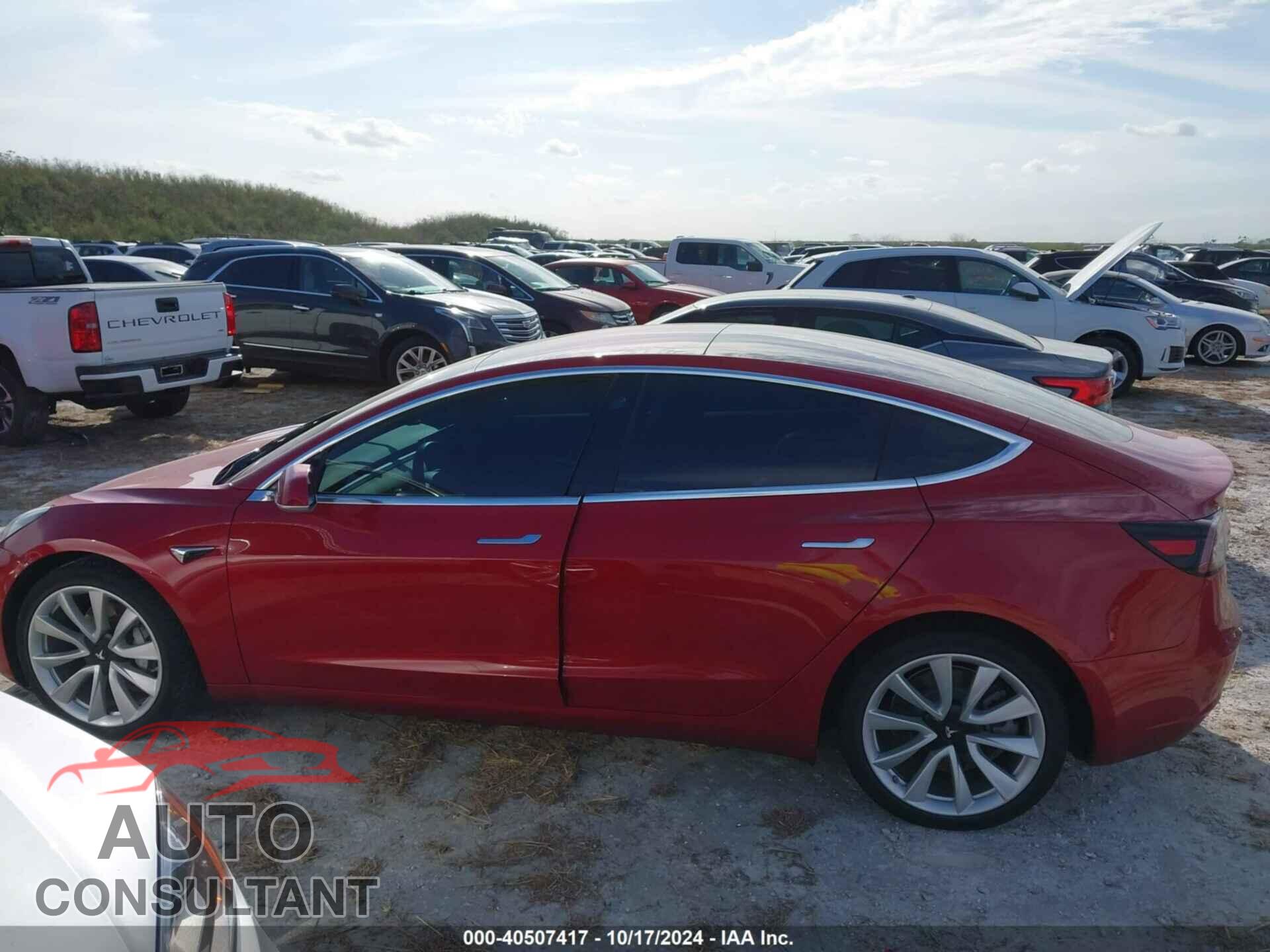 TESLA MODEL 3 2019 - 5YJ3E1EB7KF194660