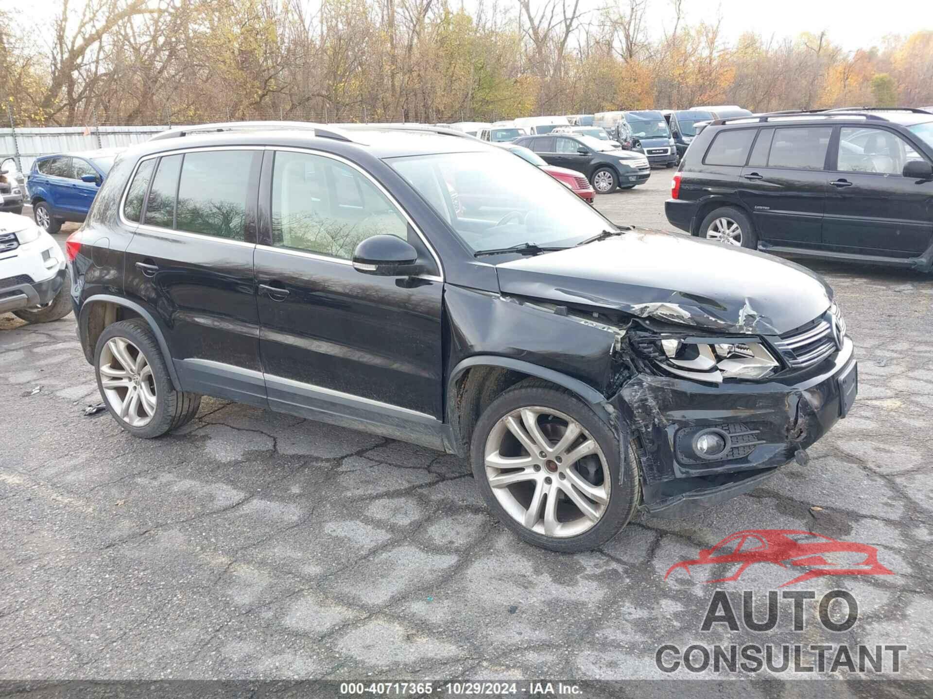 VOLKSWAGEN TIGUAN 2013 - WVGBV3AX2DW559751