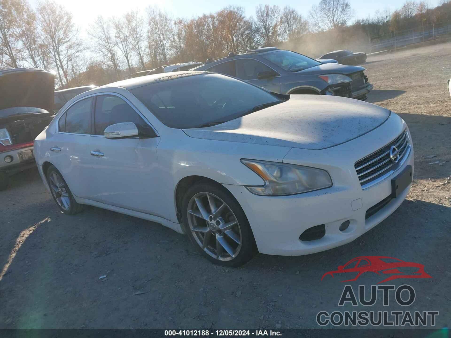 NISSAN MAXIMA 2010 - 1N4AA5AP7AC811570