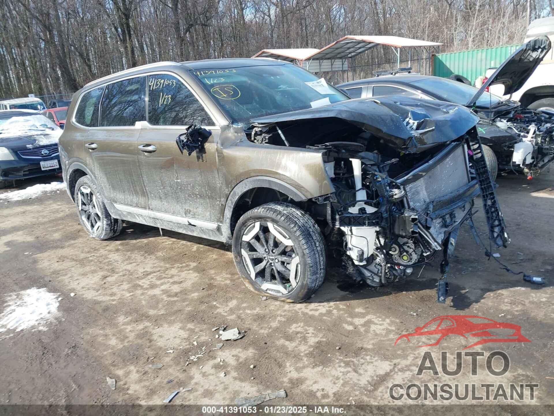 KIA TELLURIDE 2024 - 5XYP6DGCXRG526258