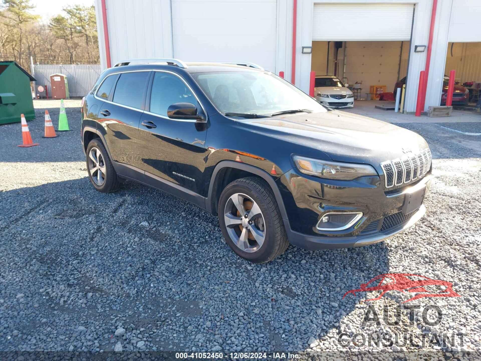 JEEP CHEROKEE 2019 - 1C4PJMDN0KD395401