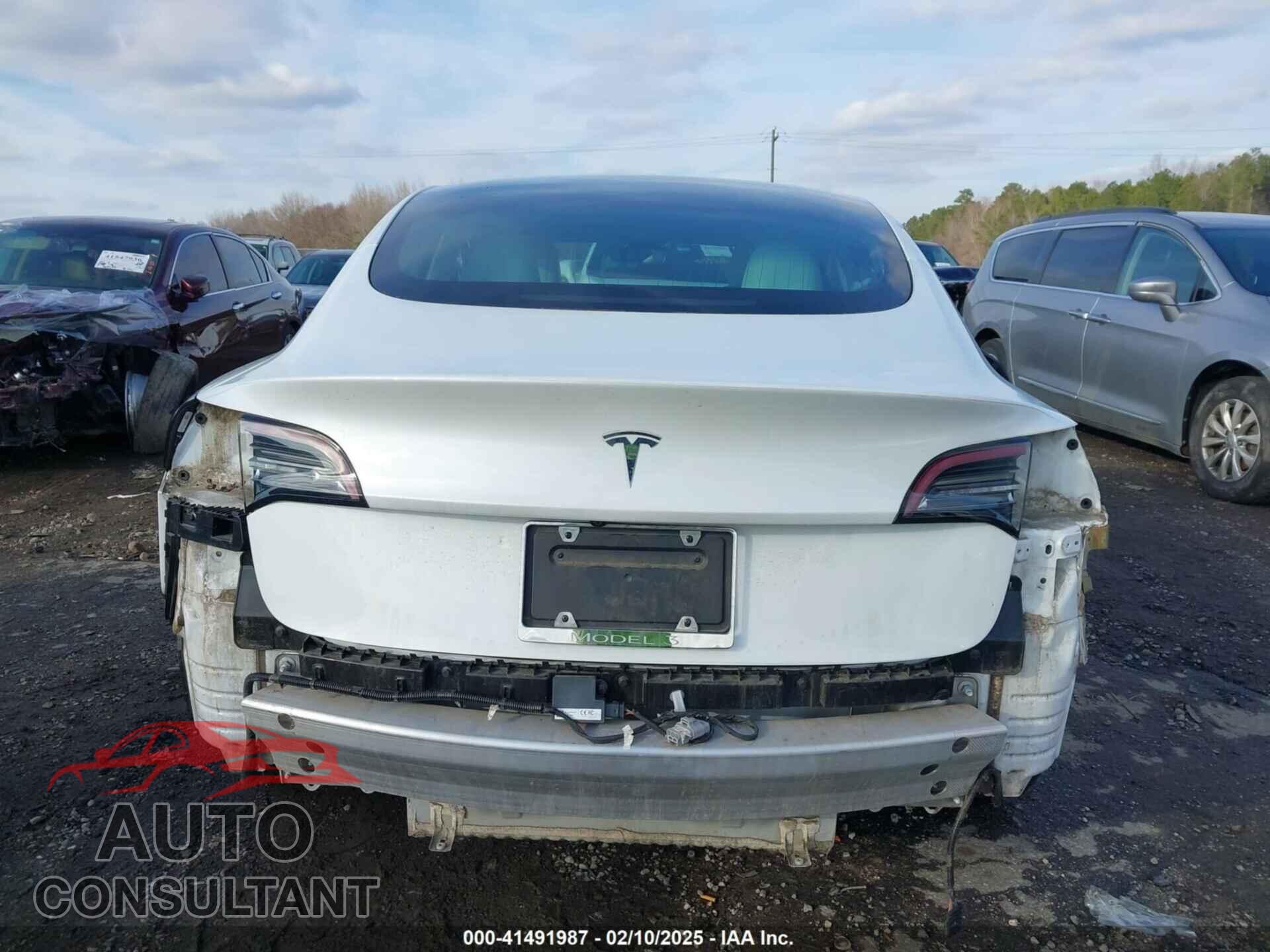 TESLA MODEL 3 2019 - 5YJ3E1EB2KF437159