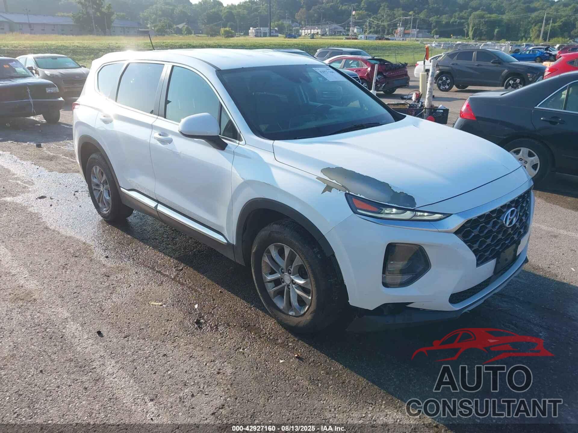 HYUNDAI SANTA FE 2019 - 5NMS2CAD9KH106651