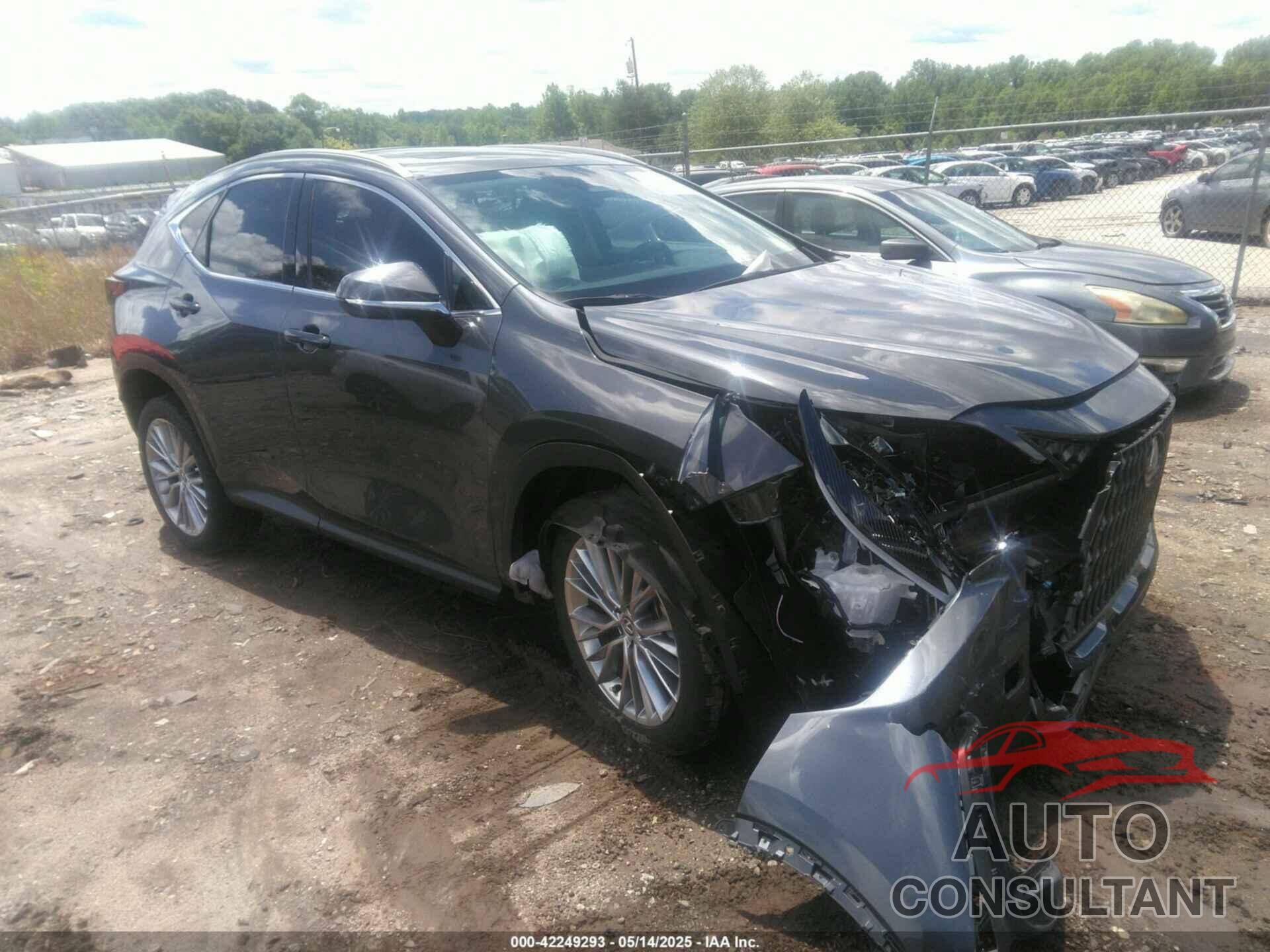 LEXUS NX 350H 2025 - 2T2GKCEZ2SC032602
