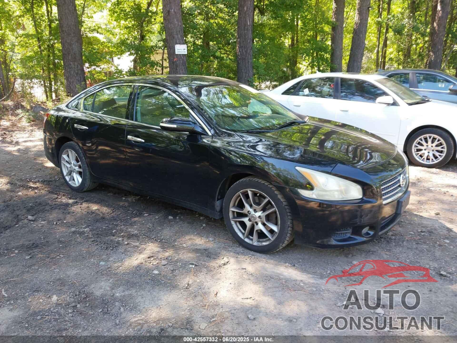 NISSAN MAXIMA 2011 - 1N4AA5AP7BC869809