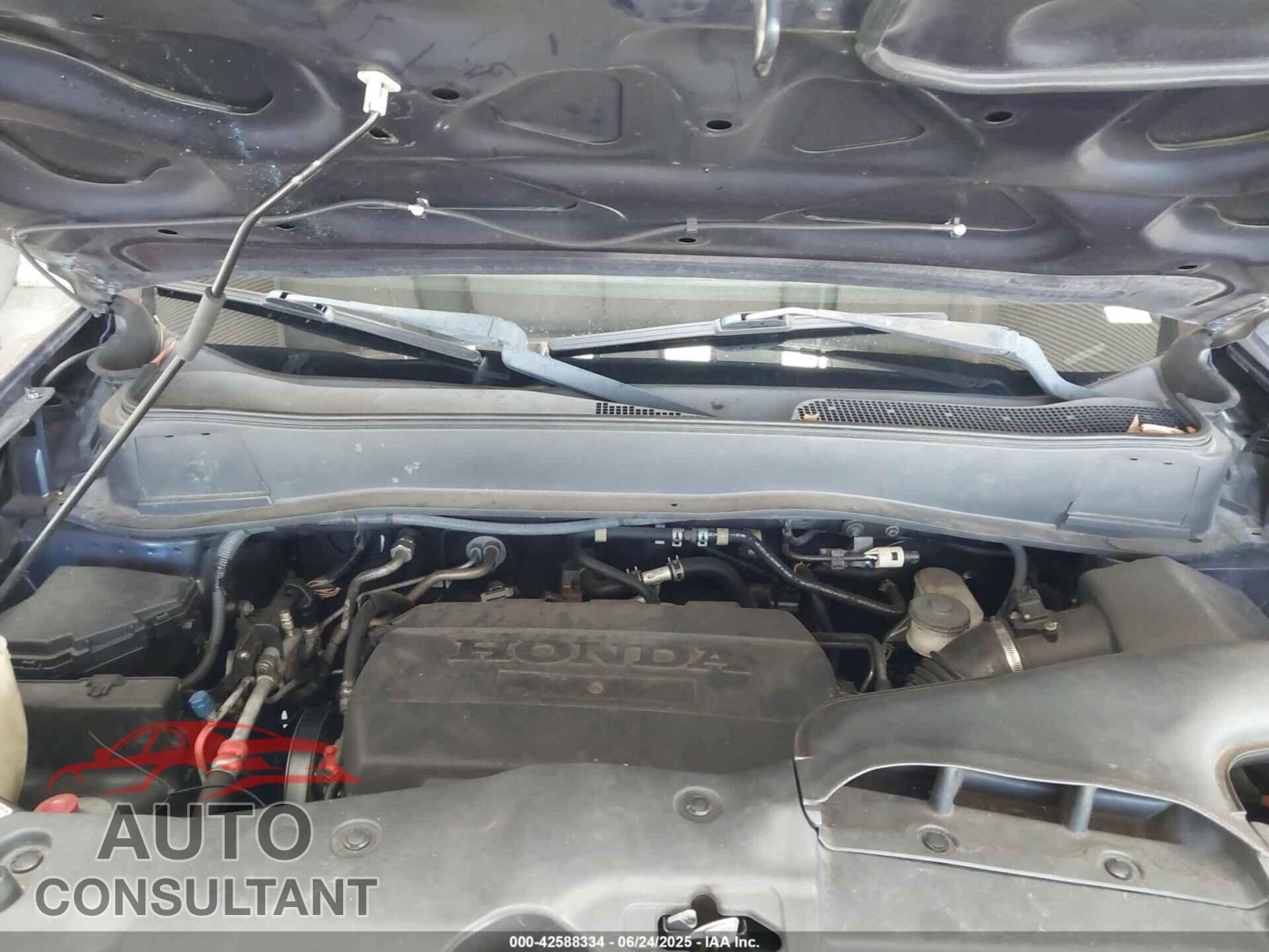 HONDA PILOT 2009 - 5FNYF38509B012425