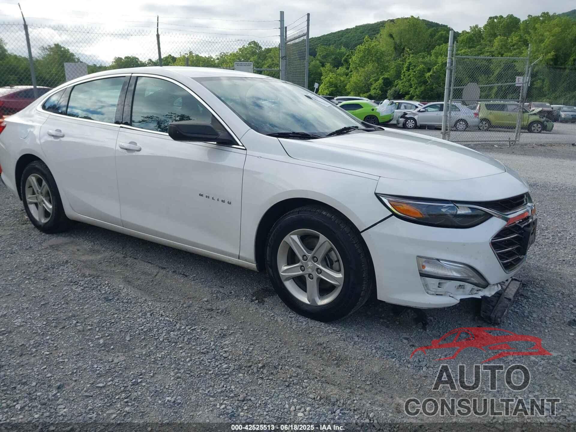 CHEVROLET MALIBU 2020 - 1G1ZB5ST9LF147076