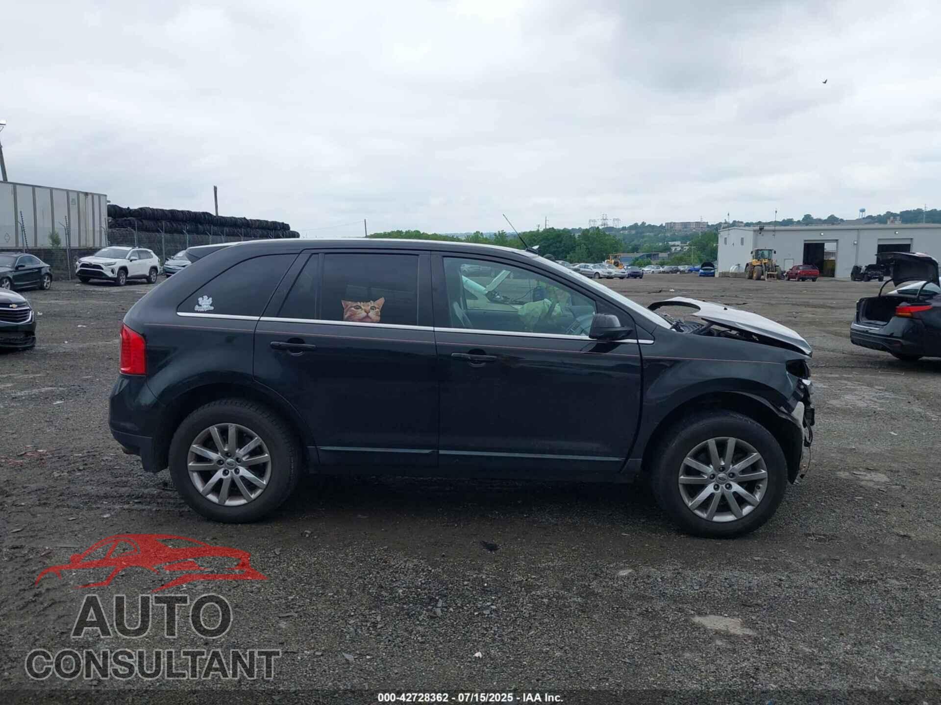 FORD EDGE 2014 - 2FMDK4KC5EBB51122