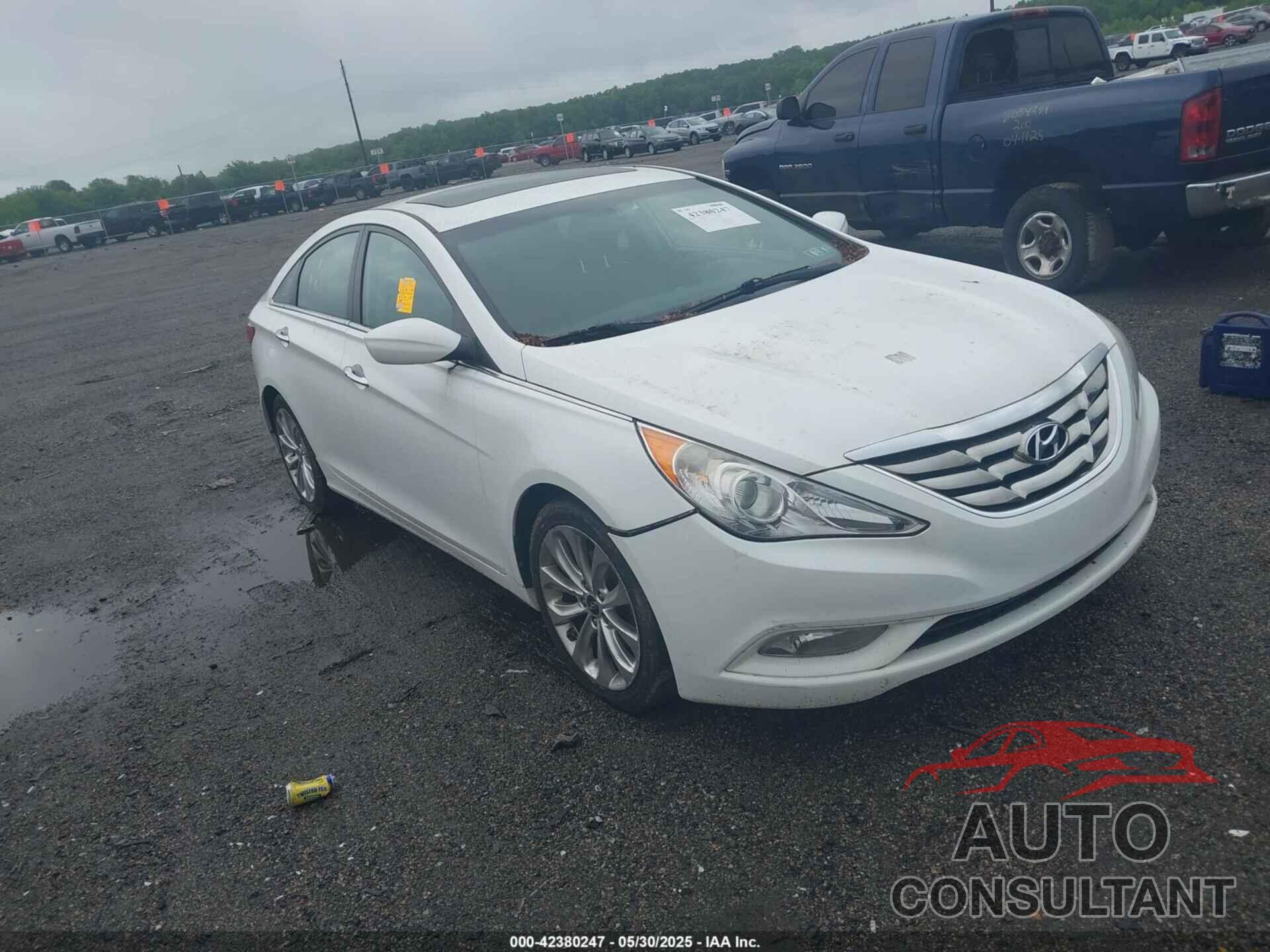 HYUNDAI SONATA 2013 - 5NPEC4AC5DH761872