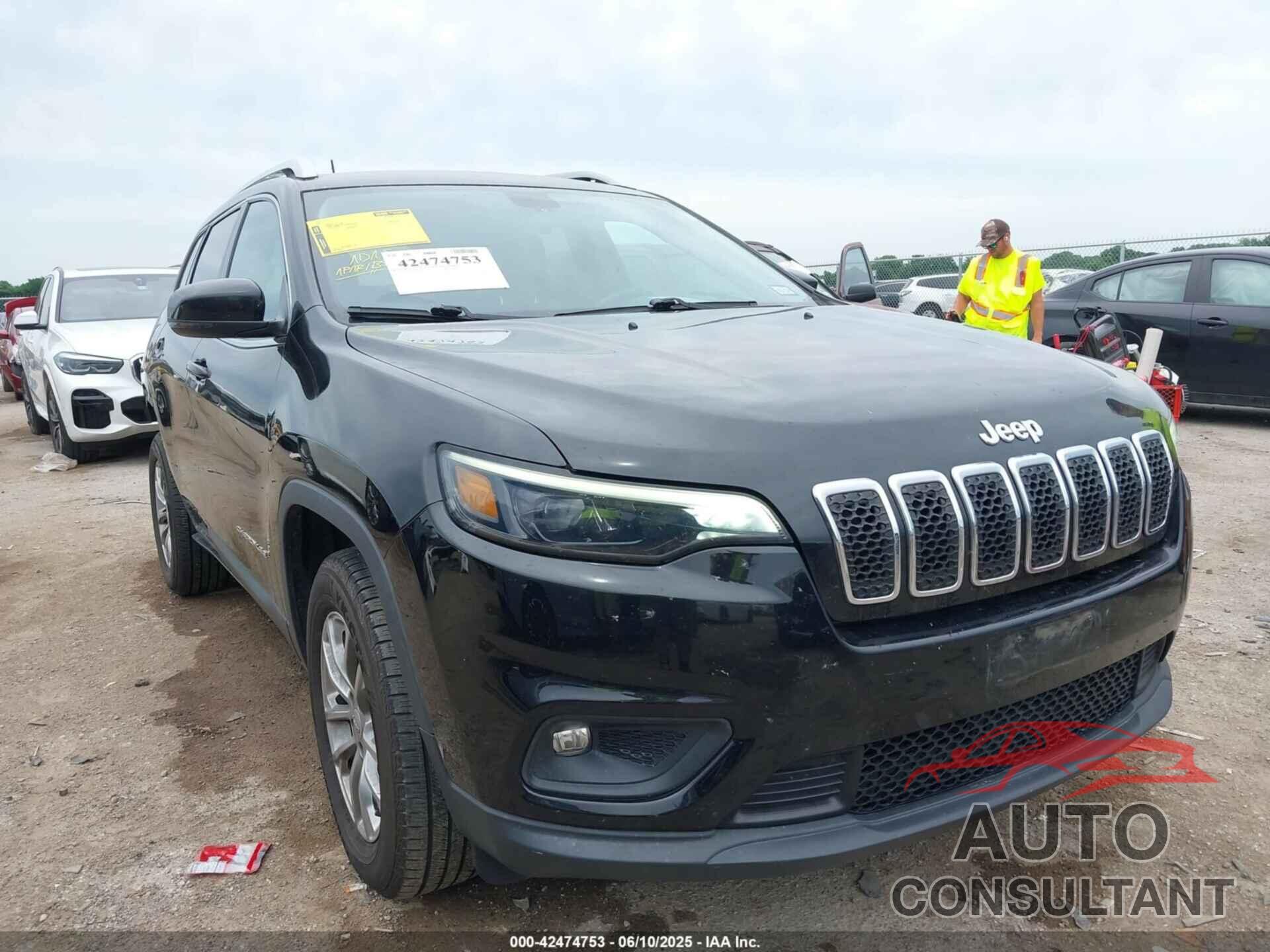 JEEP CHEROKEE 2019 - 1C4PJMLB2KD450745