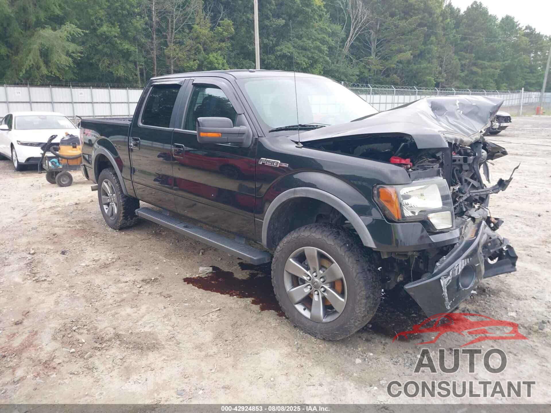FORD F-150 2013 - 1FTFW1EF3DFD47563