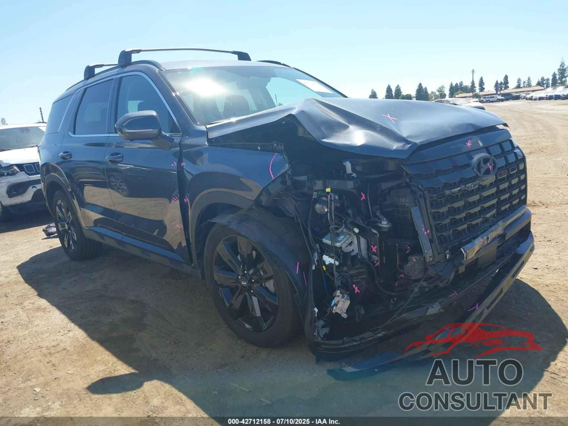 HYUNDAI PALISADE 2025 - KM8R34GE0SU854923