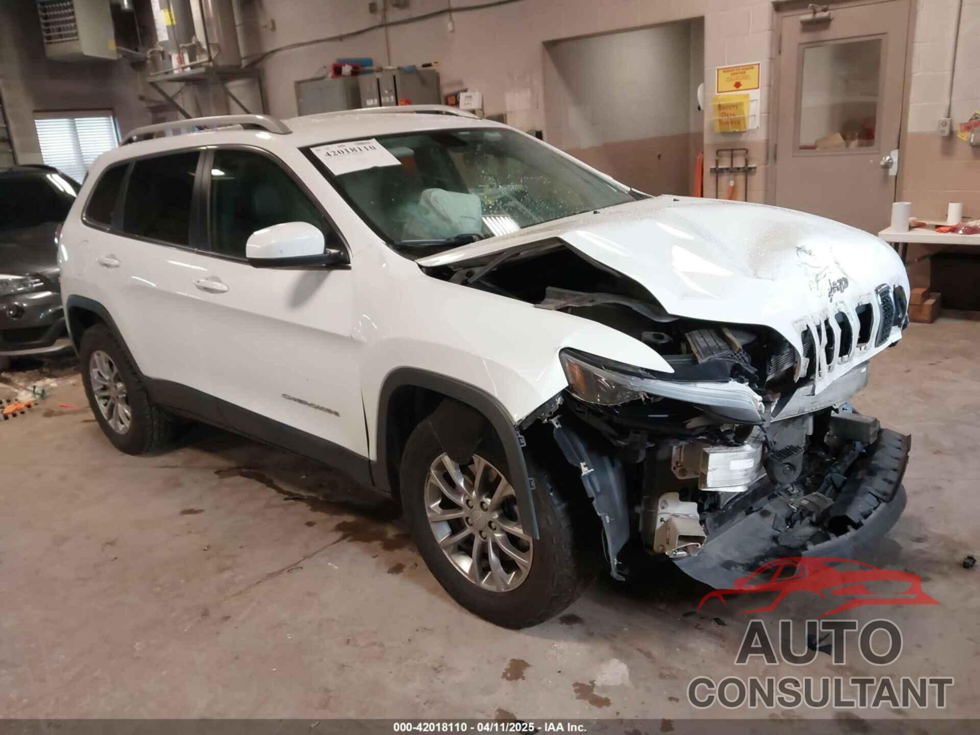 JEEP CHEROKEE 2019 - 1C4PJMLB1KD254697