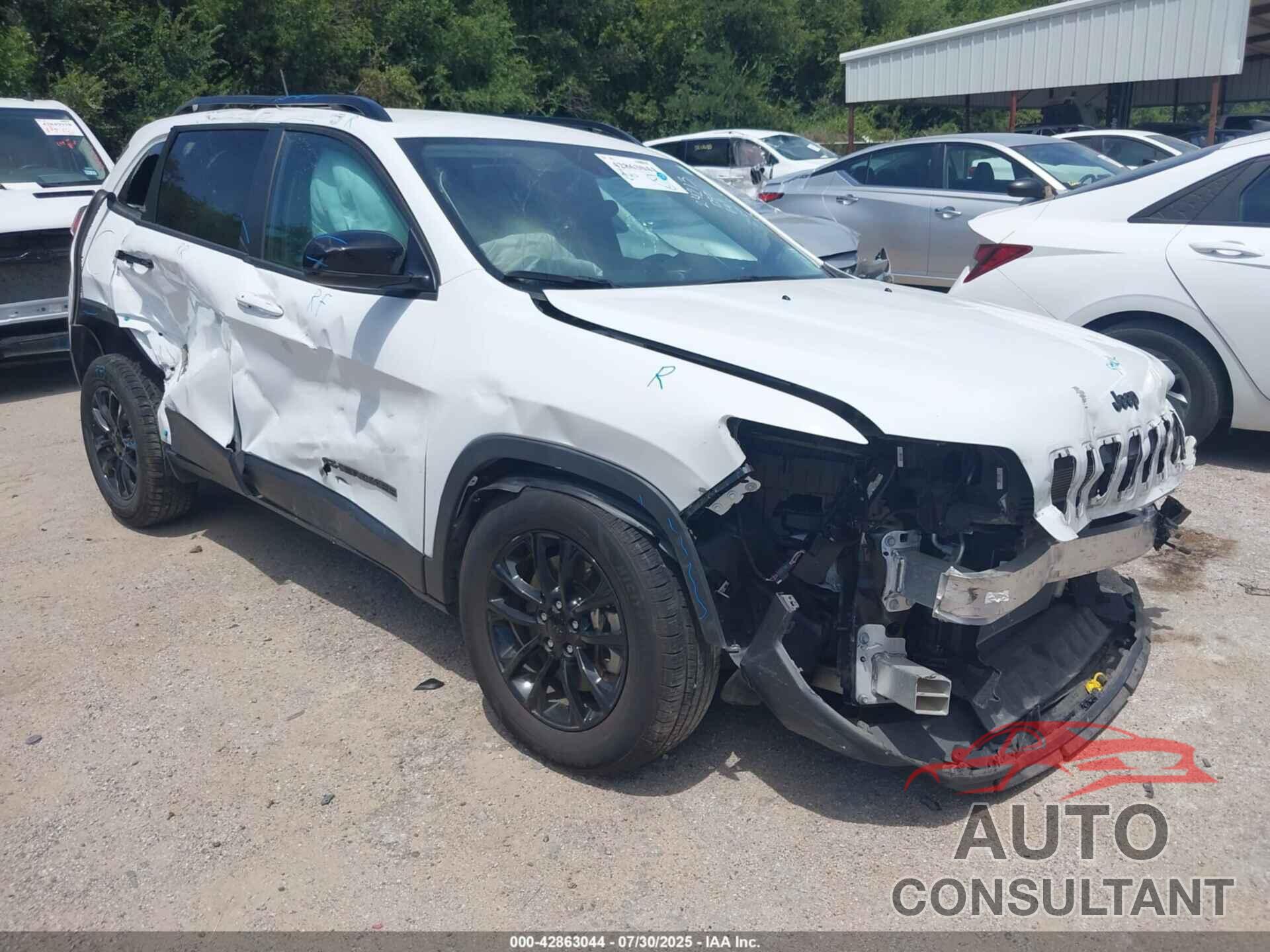 JEEP CHEROKEE 2023 - 1C4PJMMB0PD111777