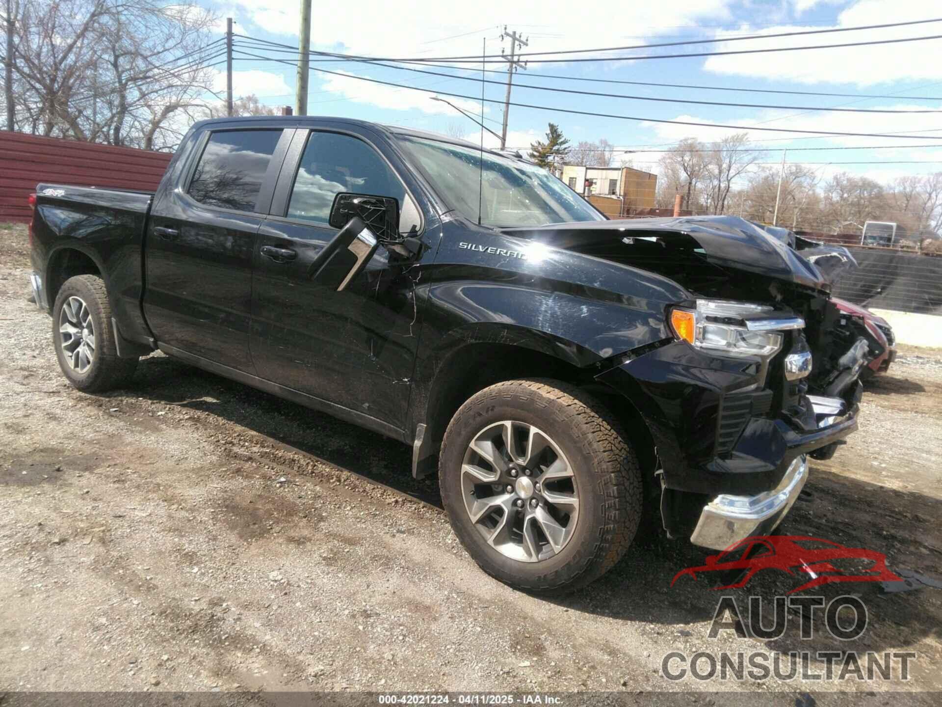 CHEVROLET SILVERADO 1500 2024 - 1GCPDKEK2RZ219964